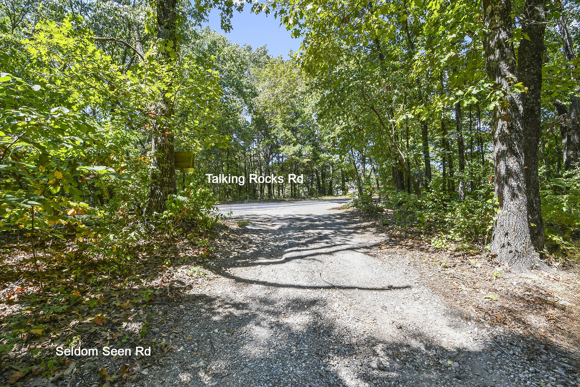 62 Seldom Seen Lane Property Photo 8