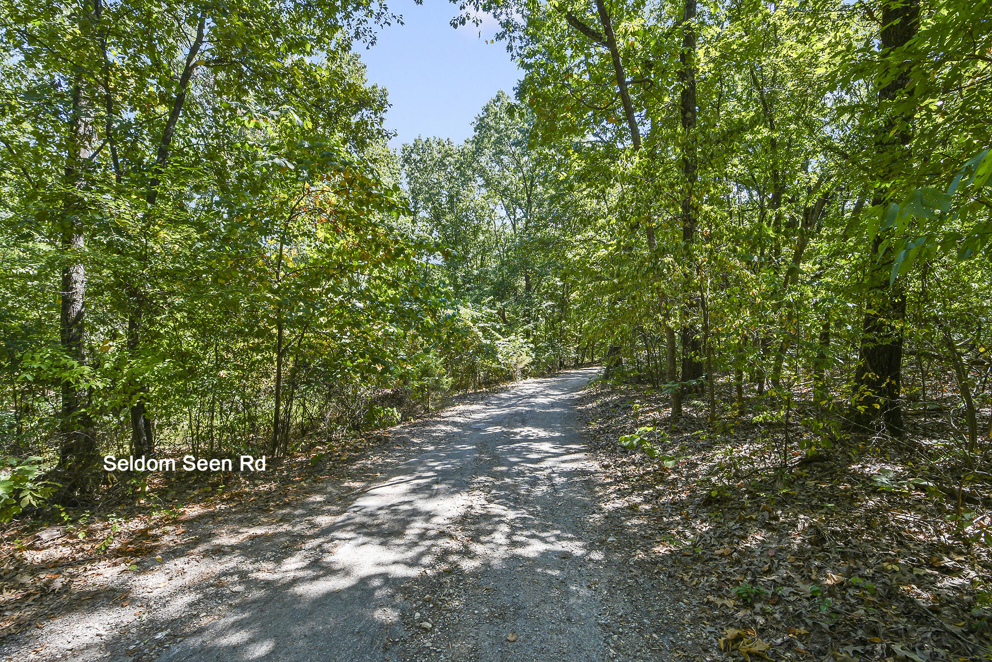 62 Seldom Seen Lane Property Photo 9
