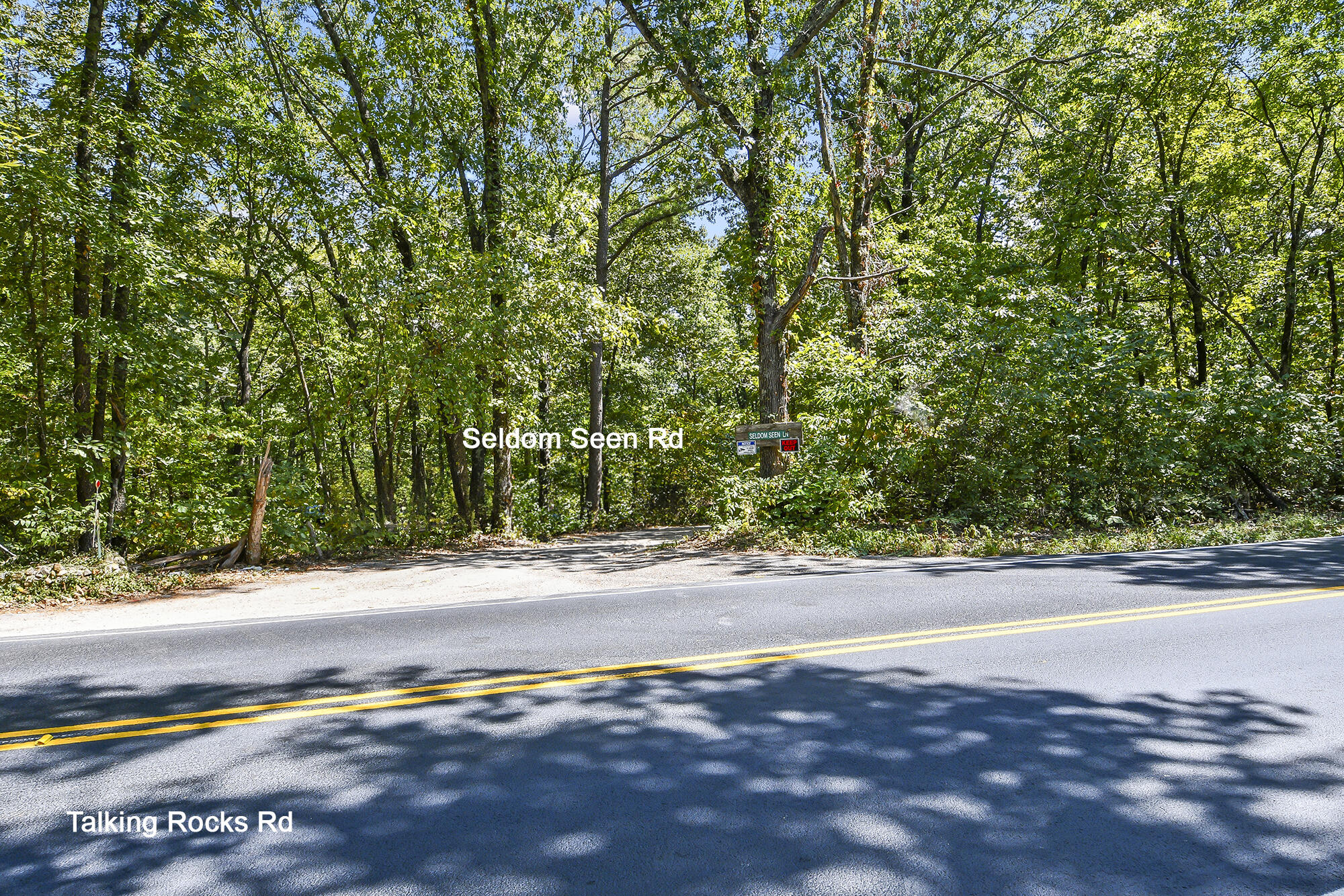 62 Seldom Seen Lane Property Photo 10