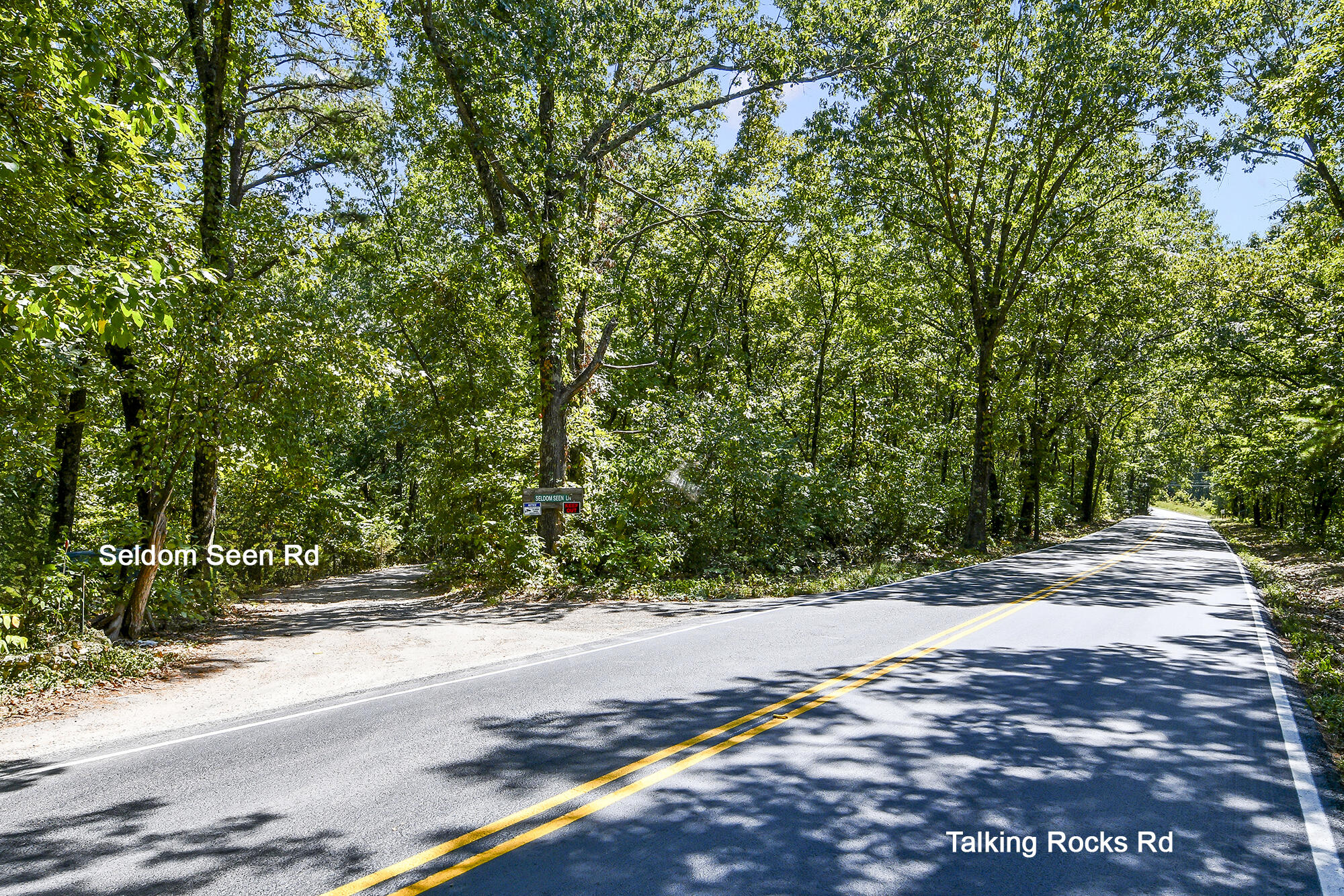 62 Seldom Seen Lane Property Photo 11