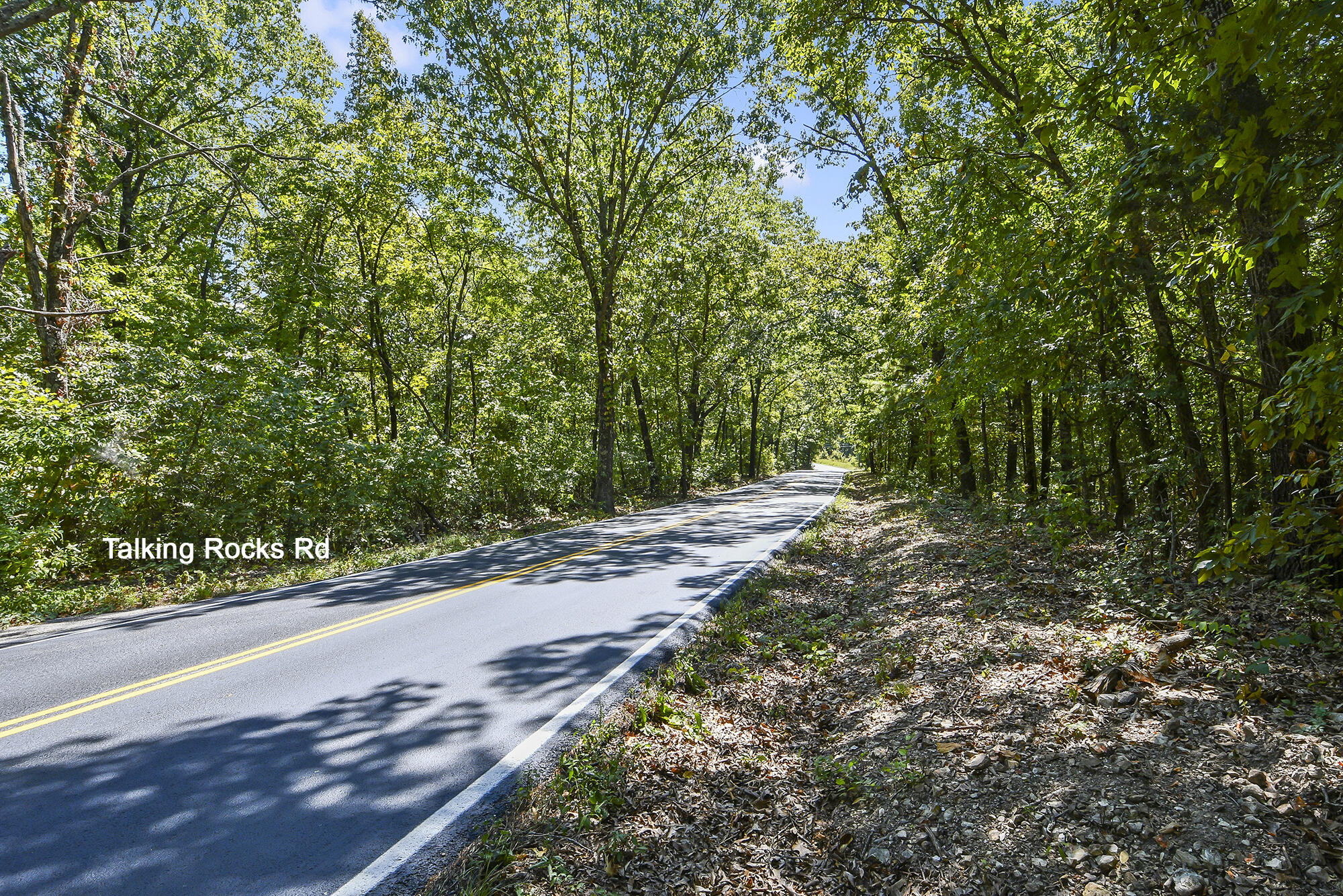 62 Seldom Seen Lane Property Photo 12