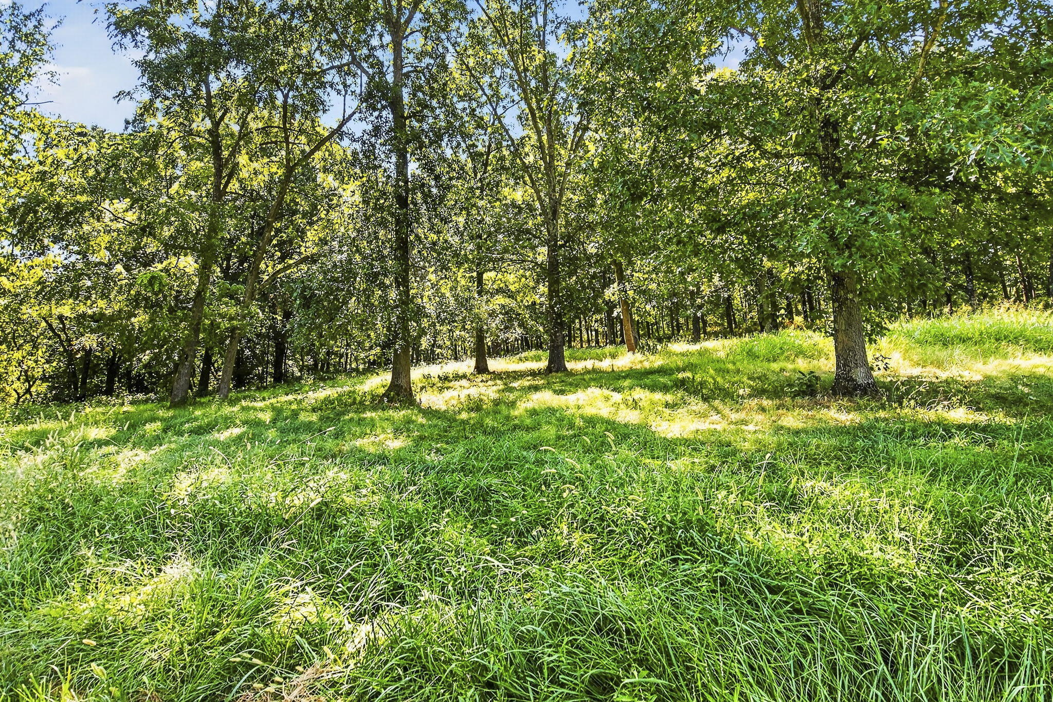 9502 East State Highway Ad Property Photo 31