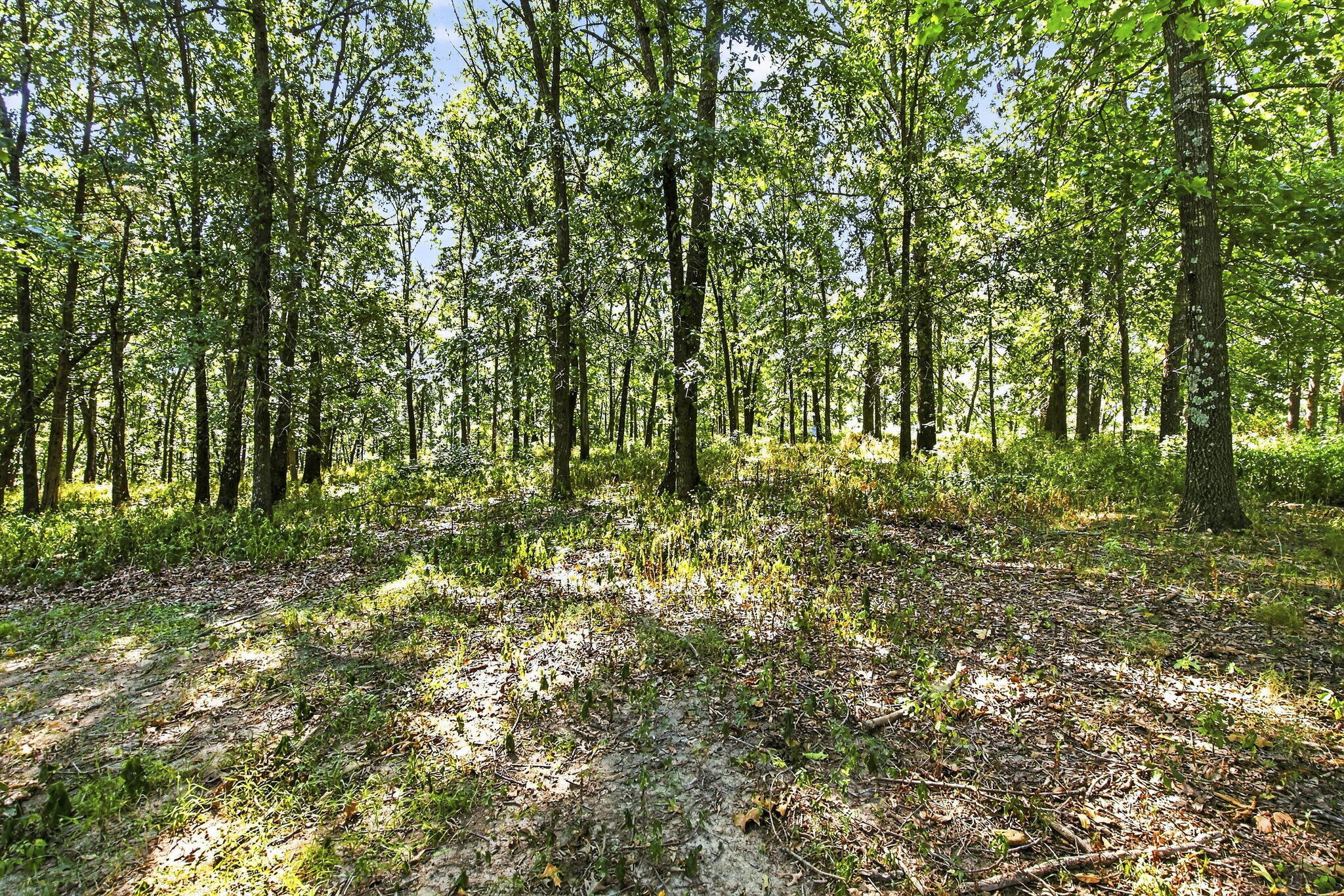 9502 East State Highway Ad Property Photo 32