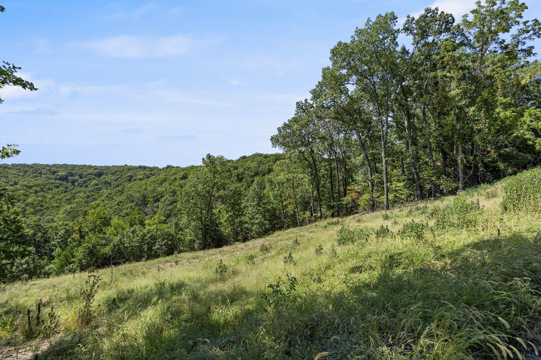 Lot 9 Lazarus Road Property Photo 12