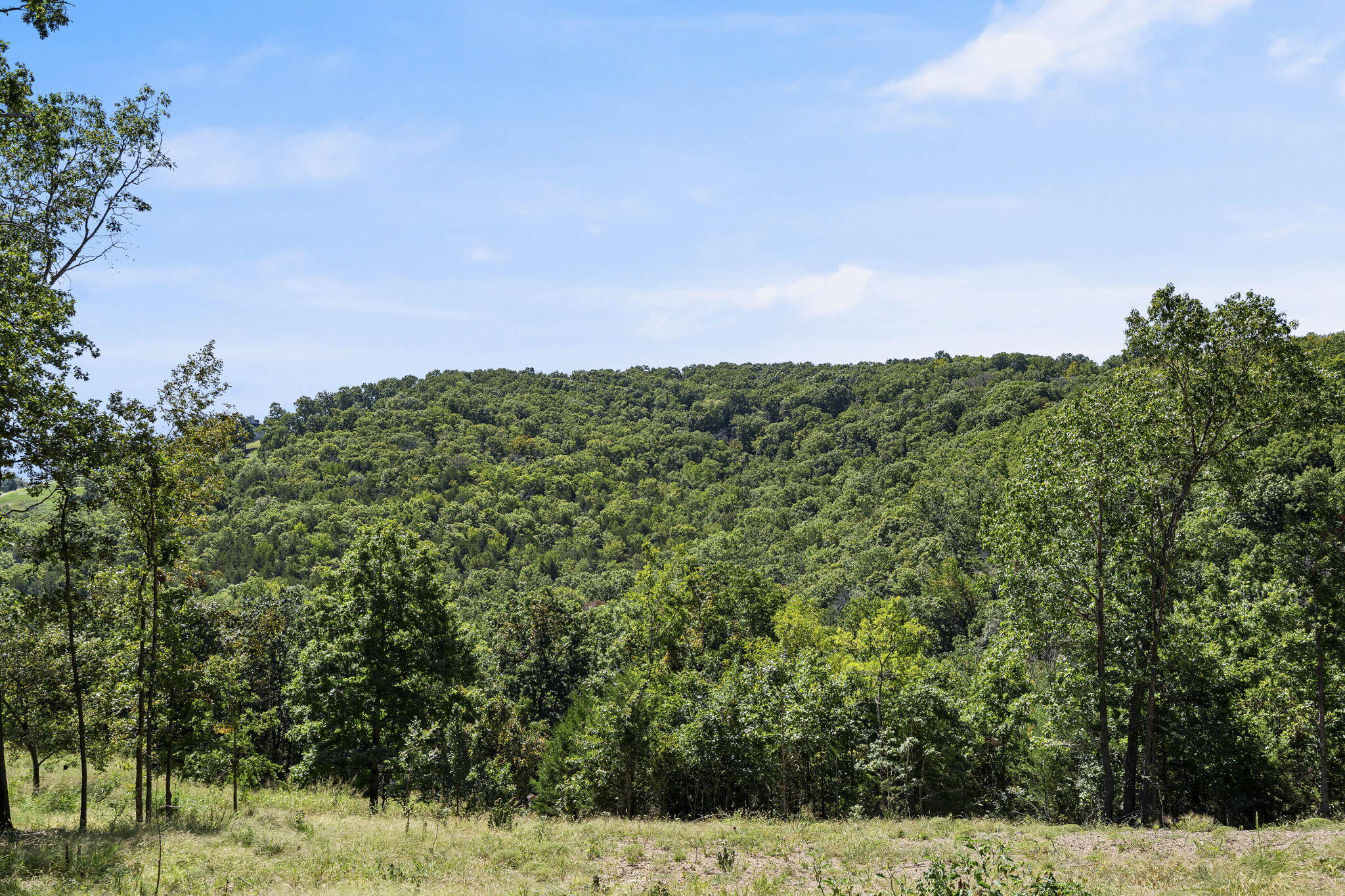 Lot 9 Lazarus Road Property Photo 13