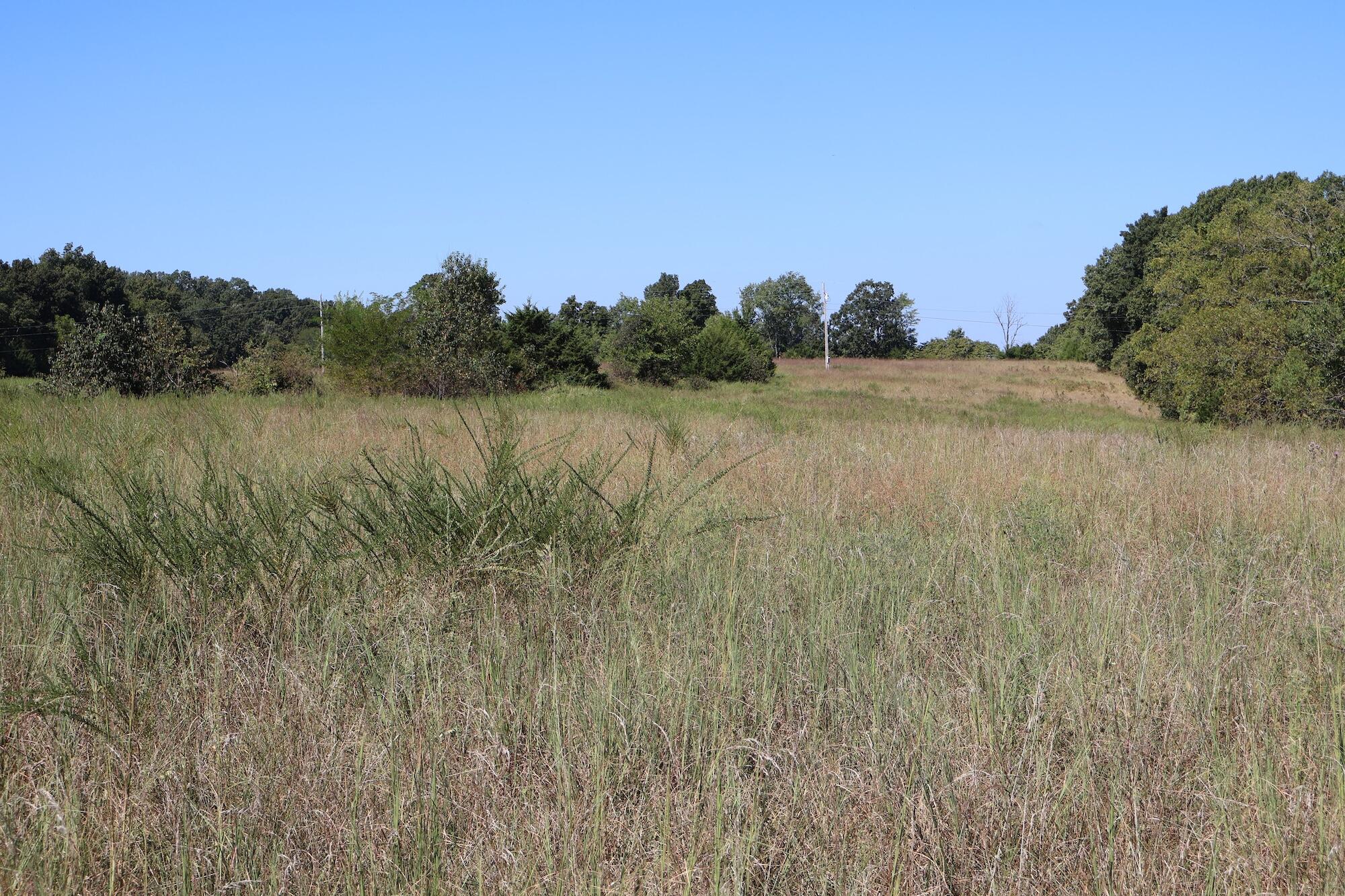 0000 County Rd 132 Property Photo 16