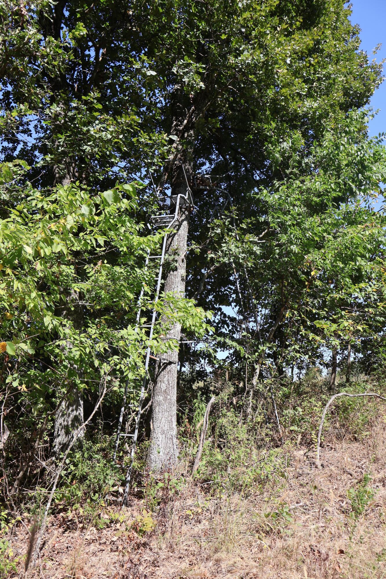 0000 County Rd 132 Property Photo 26