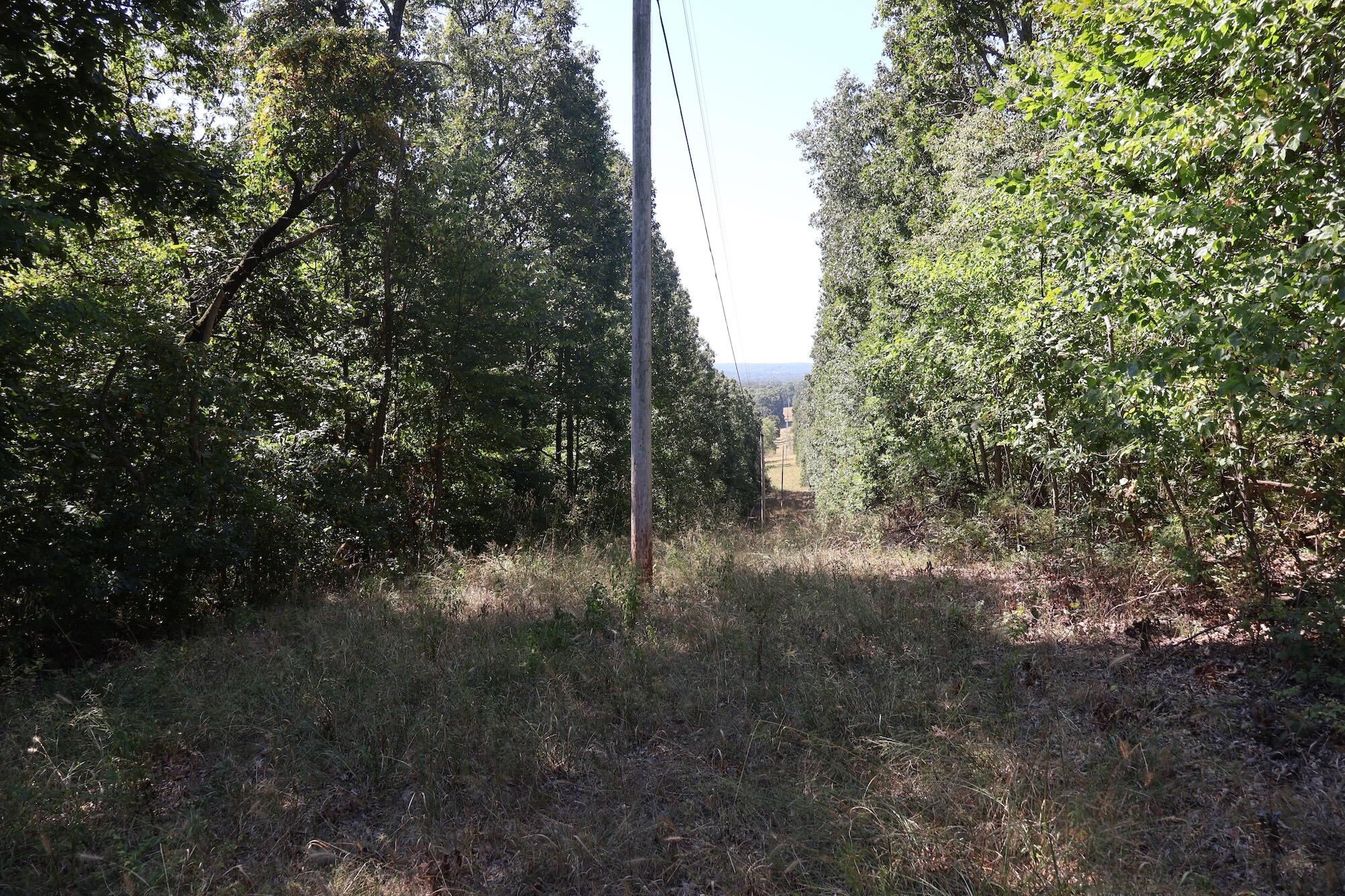 0000 County Rd 132 Property Photo 27