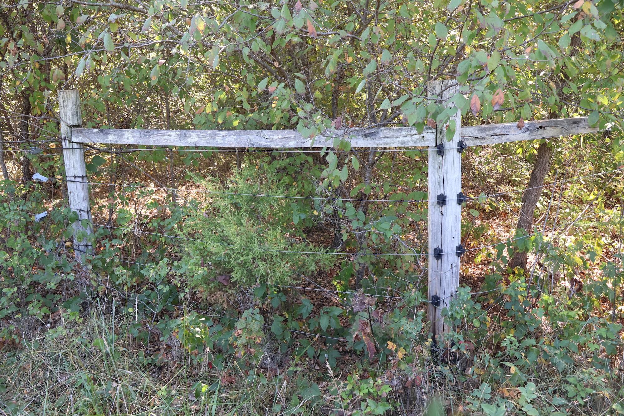 0000 County Rd 132 Property Photo 29
