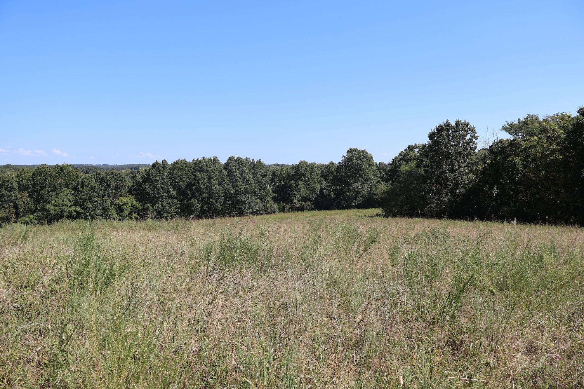 0000 County Rd 132 Property Photo 31