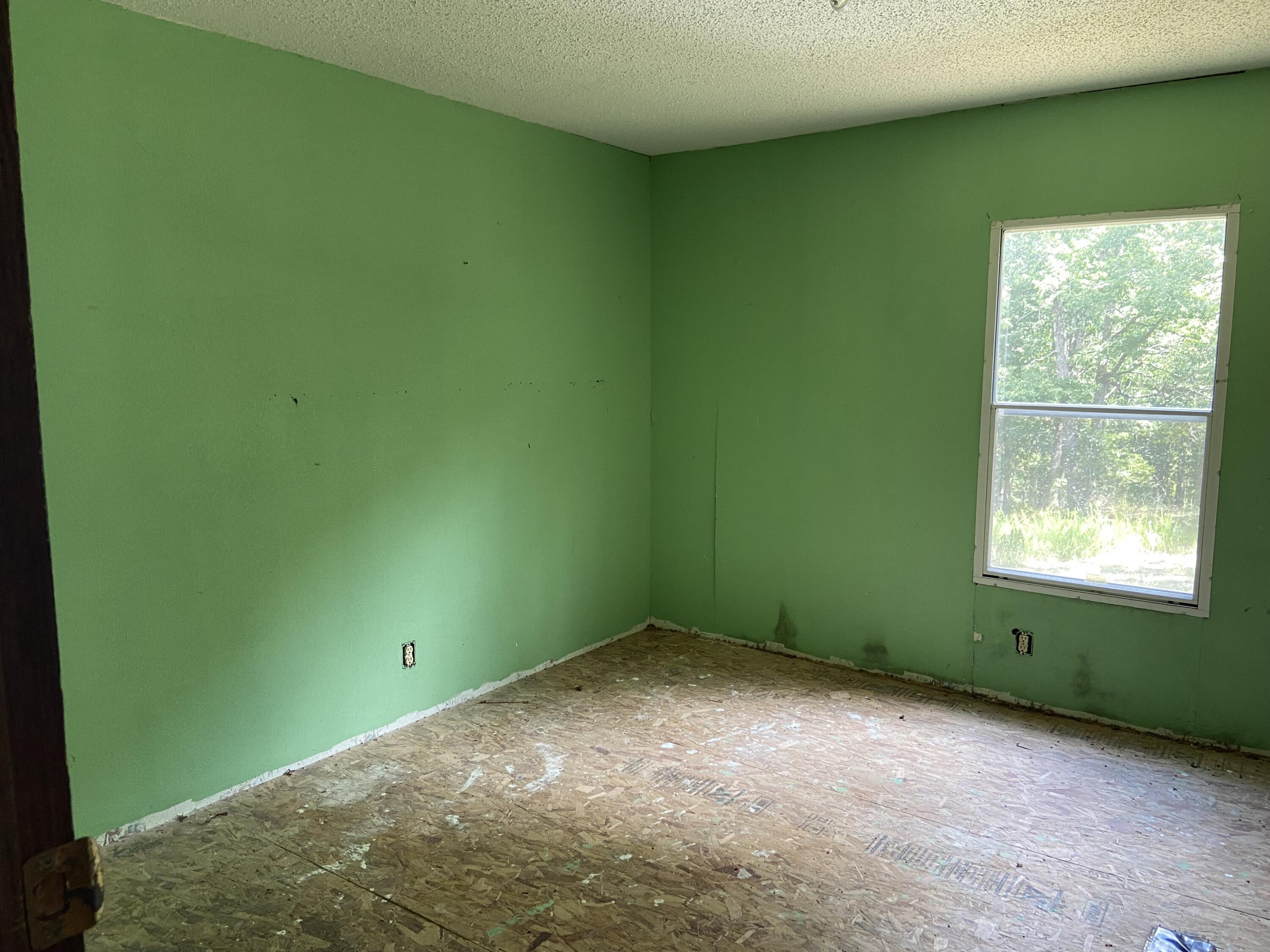 850 County Road 255 Property Photo 8