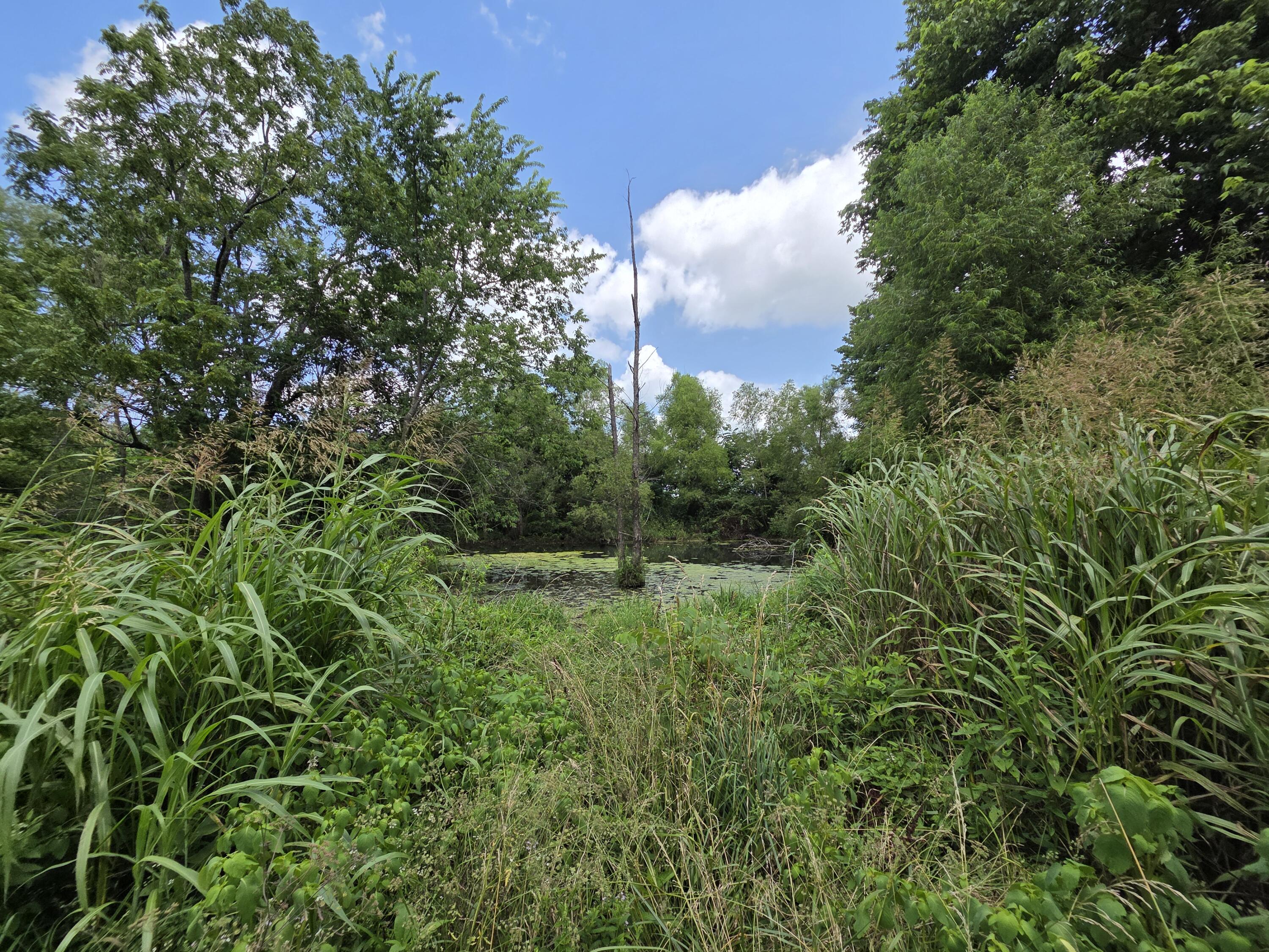 4660 South Wilsons Creek Boulevard Property Photo 26