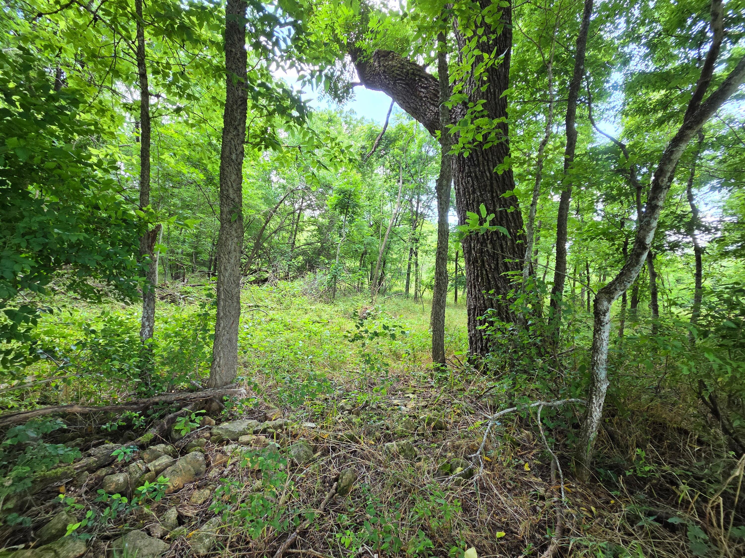 4660 South Wilsons Creek Boulevard Property Photo 37