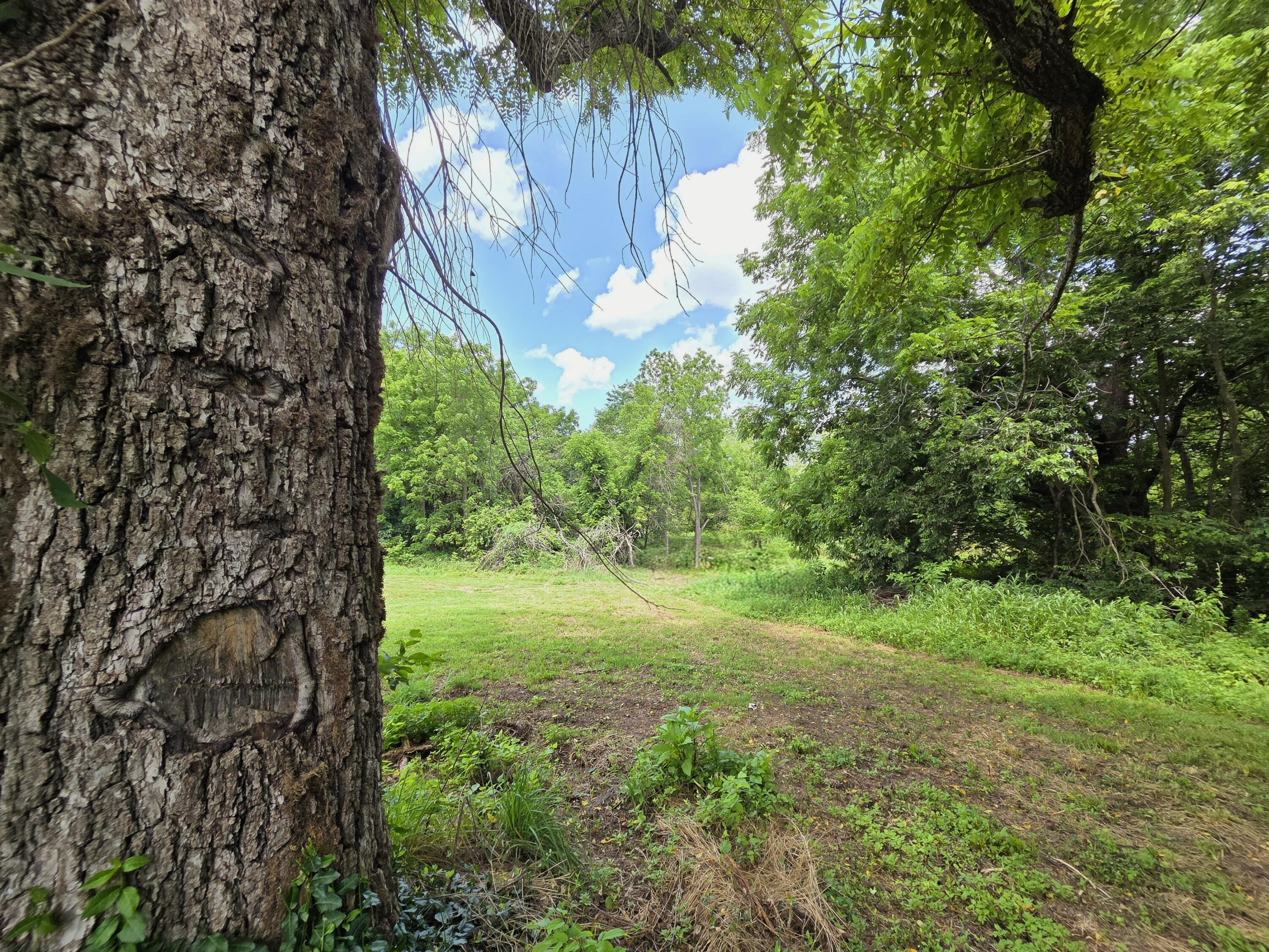 4660 South Wilsons Creek Boulevard Property Photo 43