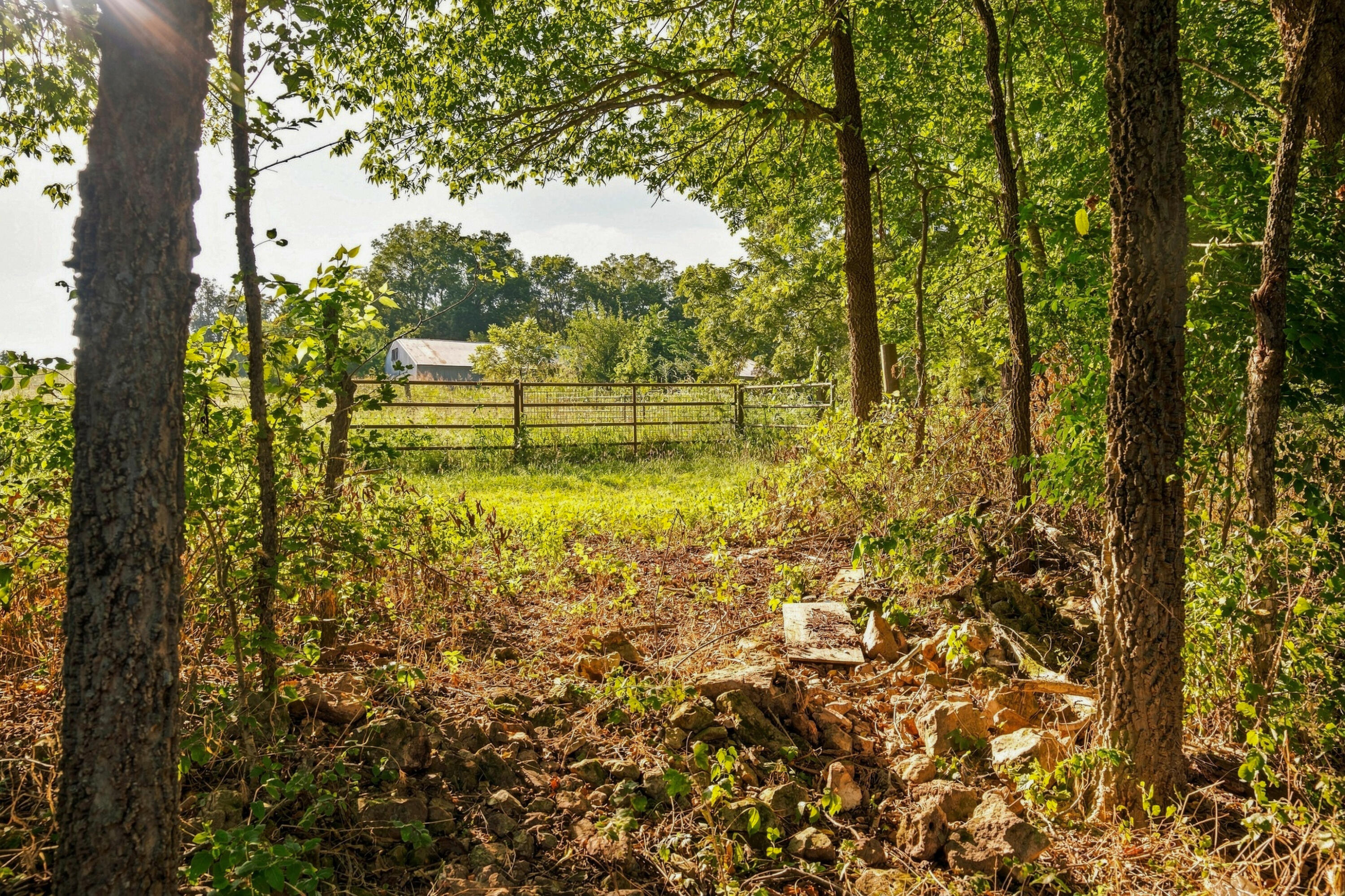 4660 South Wilsons Creek Boulevard Property Photo 157