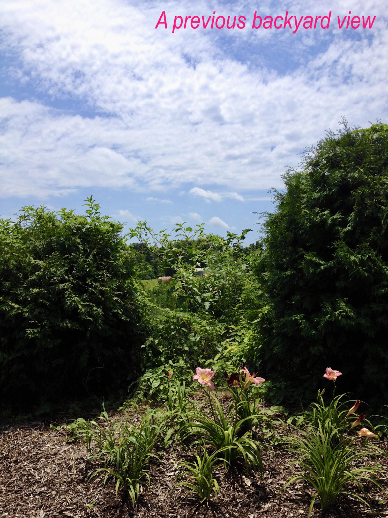 4660 South Wilsons Creek Boulevard Property Photo 165