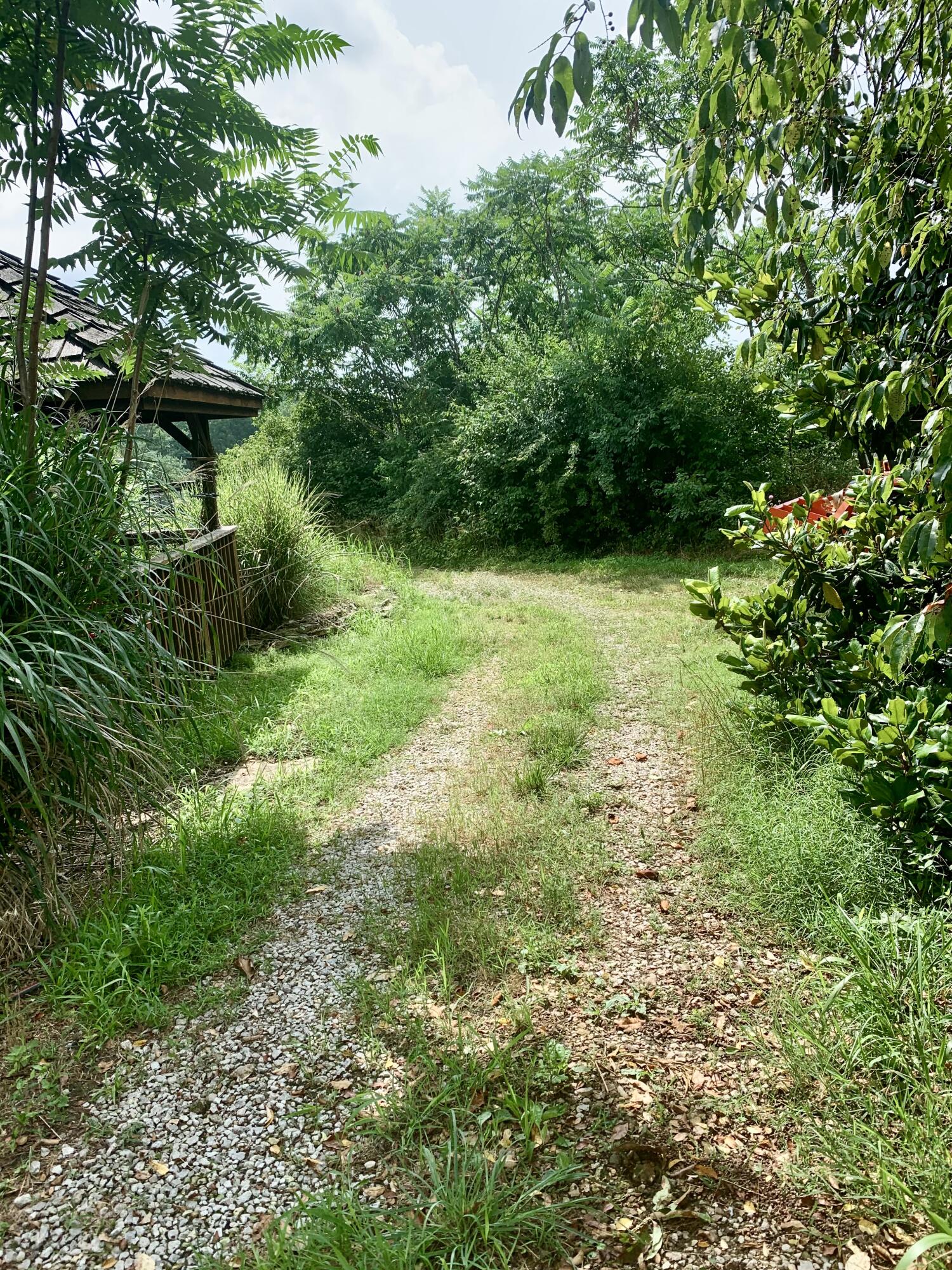 4660 South Wilsons Creek Boulevard Property Photo 198