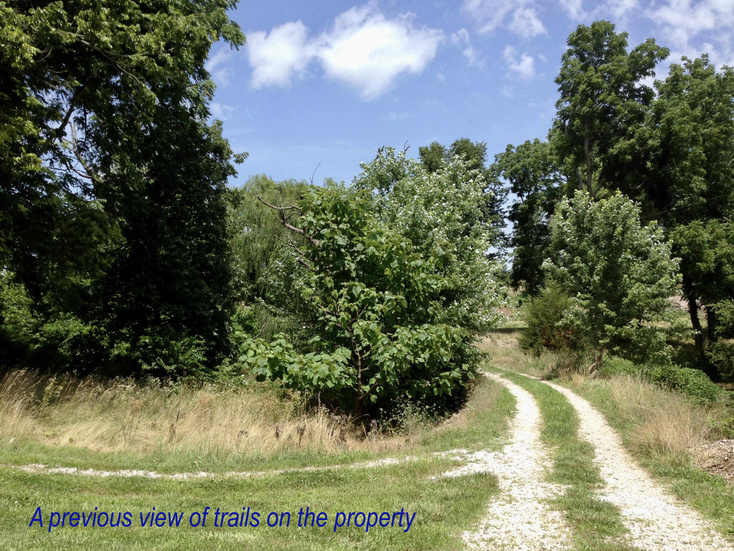 4660 South Wilsons Creek Boulevard Property Photo 200