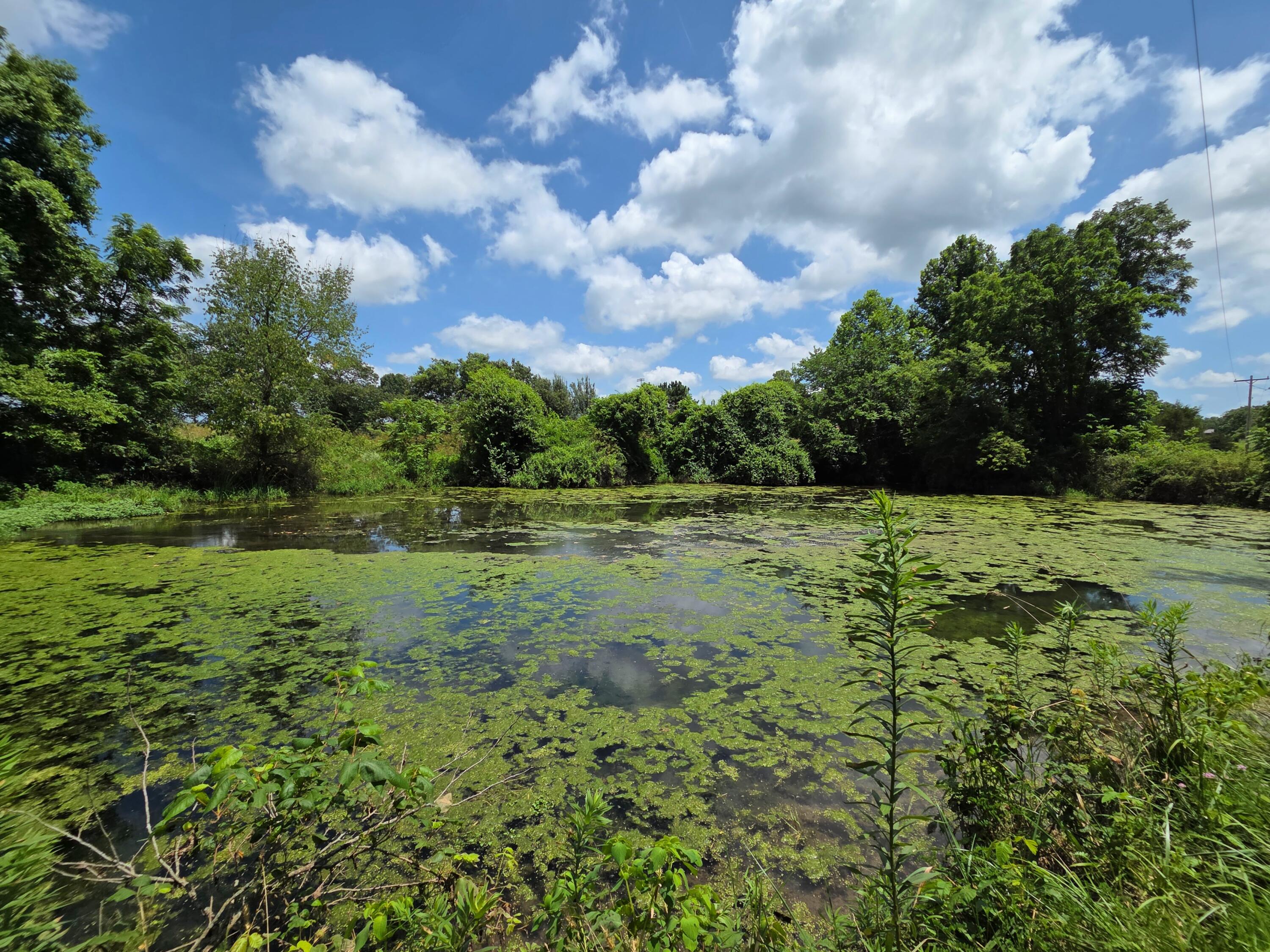 4660 South Wilsons Creek Boulevard Property Photo 16