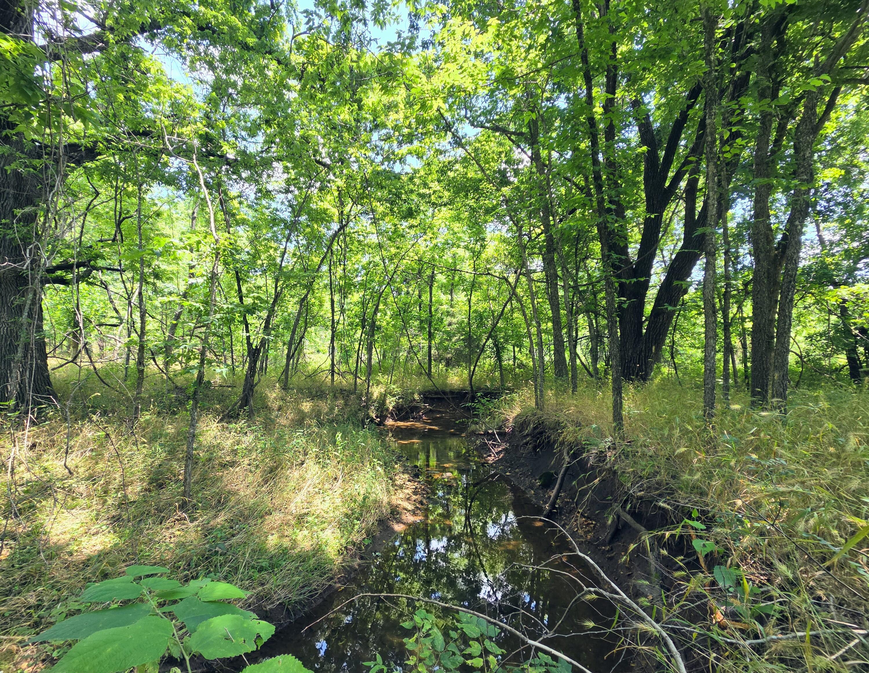 4660 South Wilsons Creek Boulevard Property Photo 27