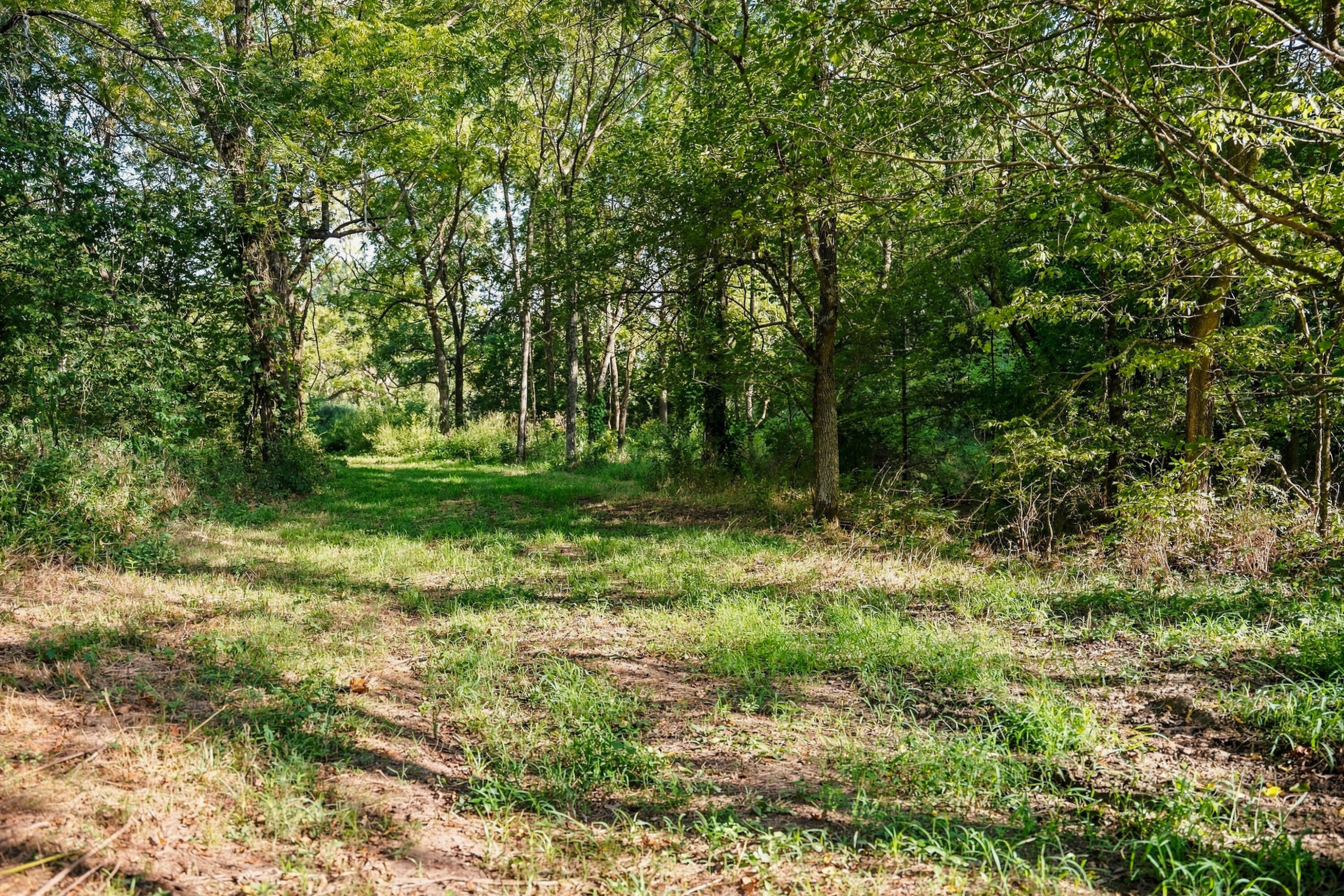 4660 South Wilsons Creek Boulevard Property Photo 34