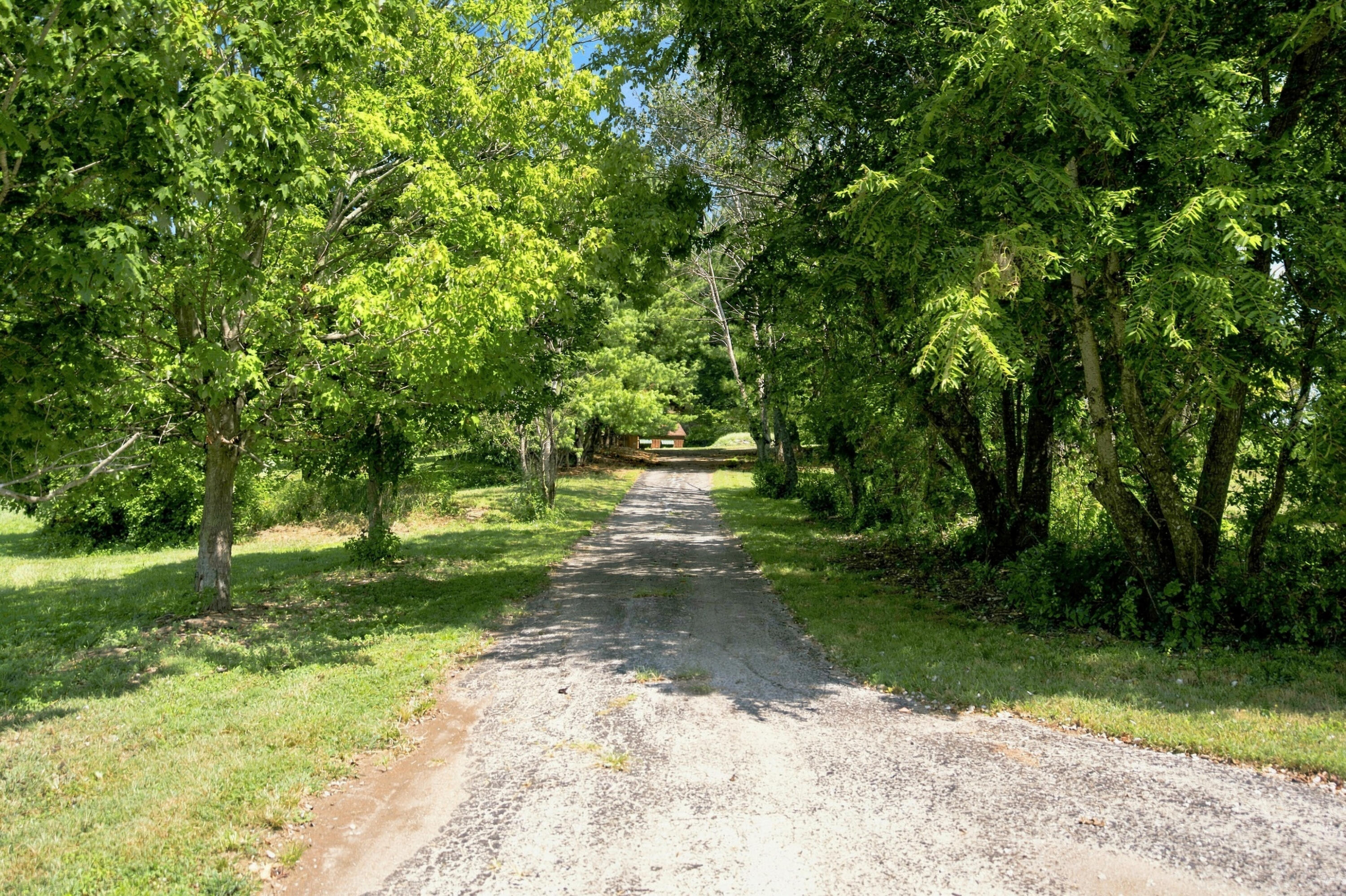 4660 South Wilsons Creek Boulevard Property Photo 49