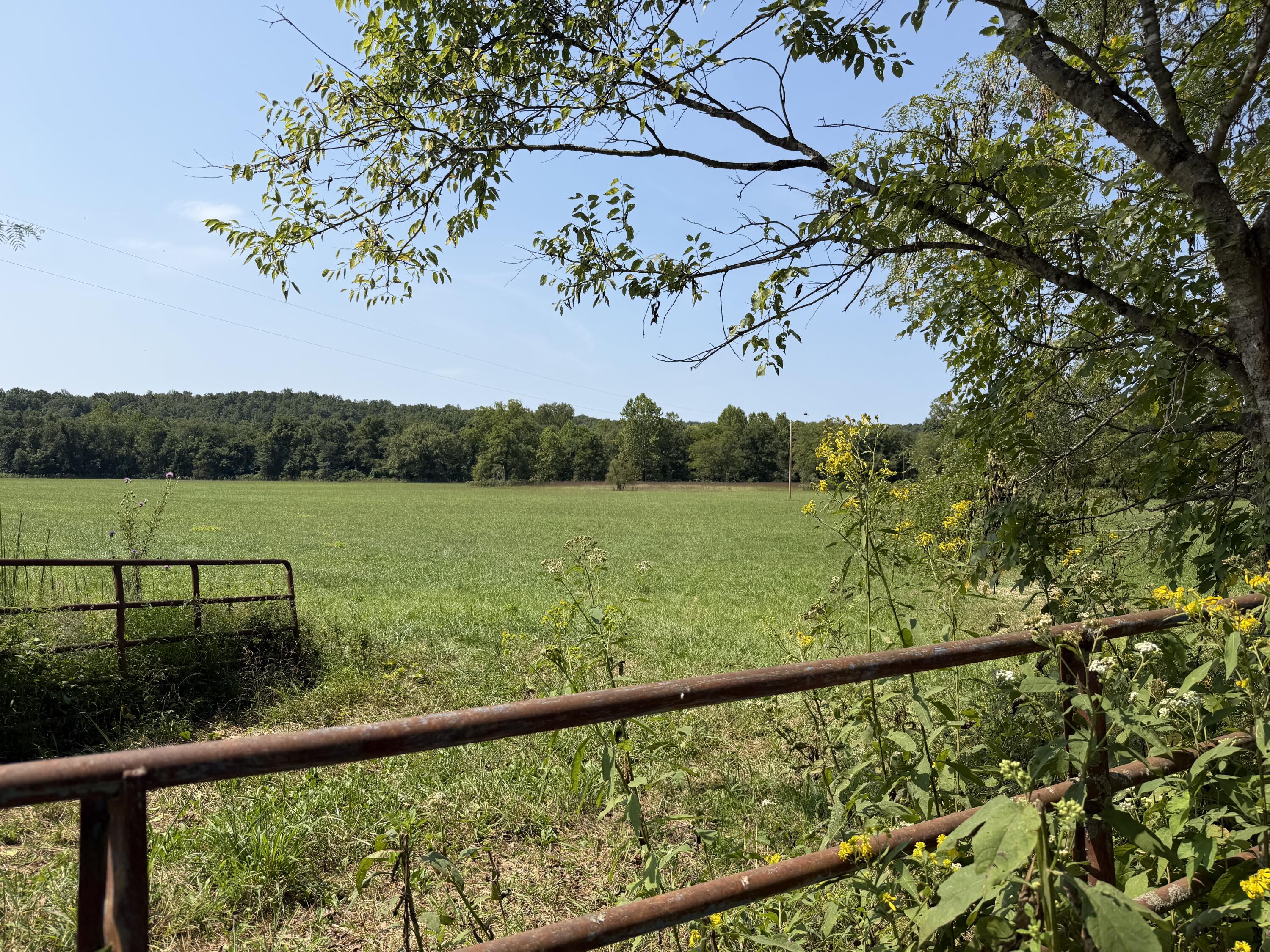 1189 County Road 428 Property Photo 1