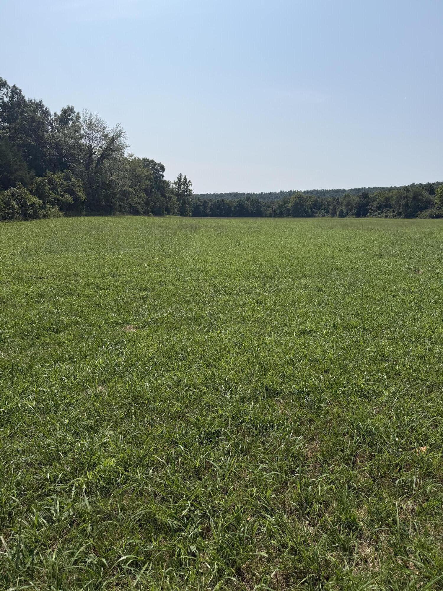1189 County Road 428 Property Photo 2