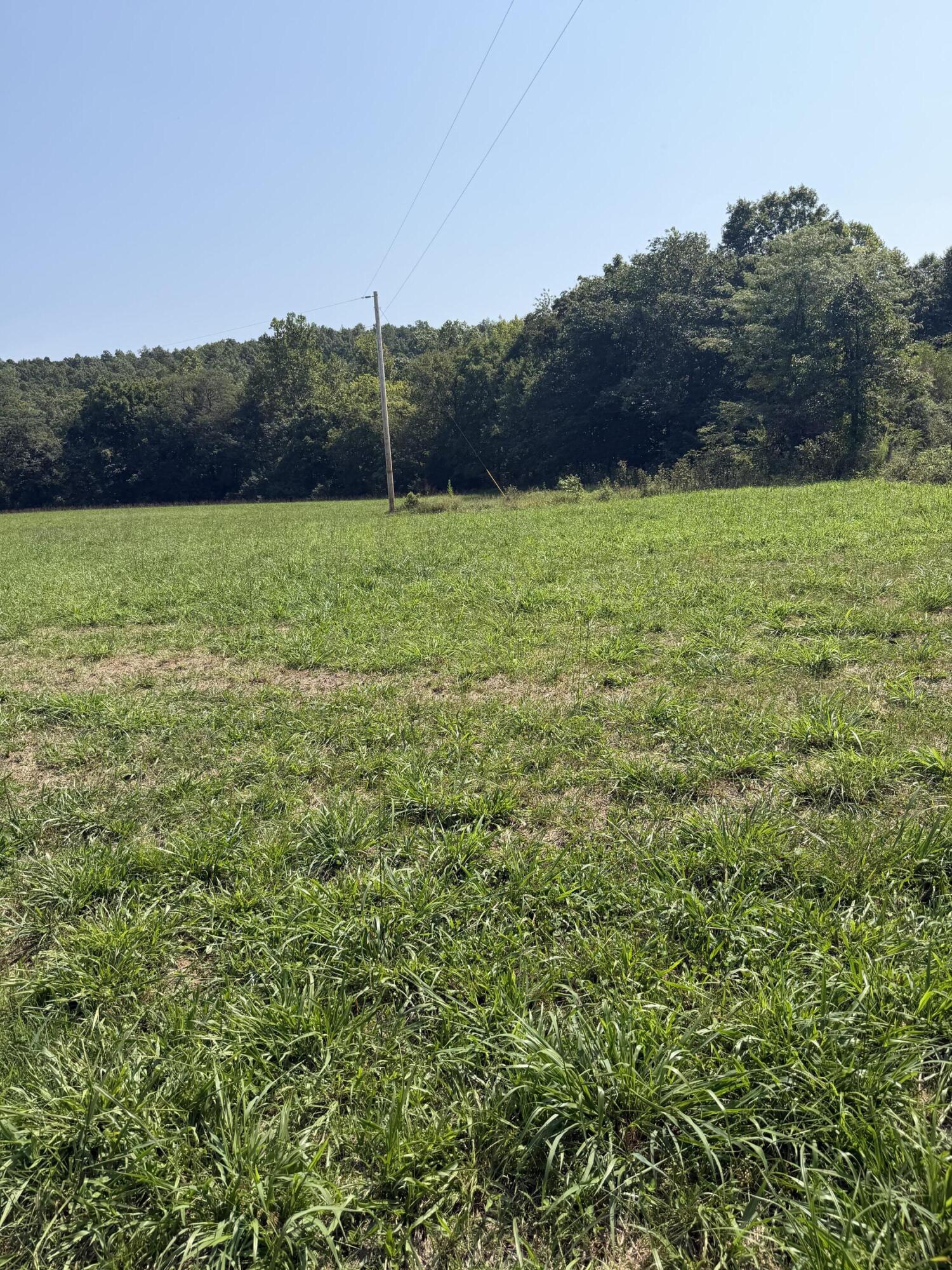 1189 County Road 428 Property Photo 6