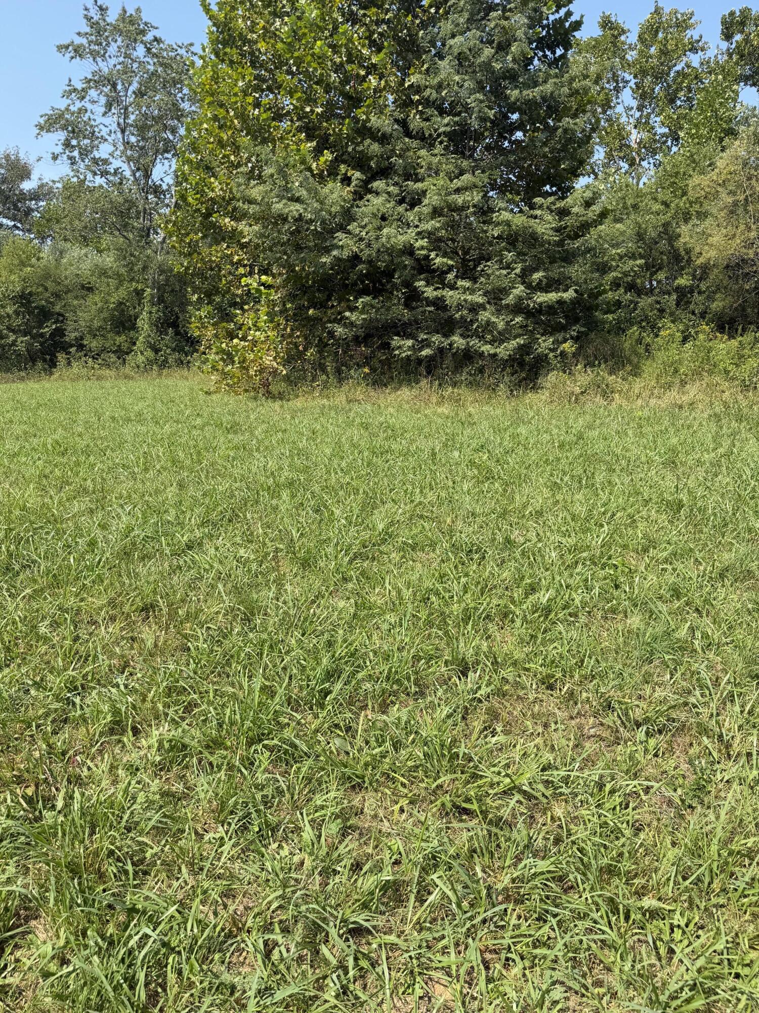 1189 County Road 428 Property Photo 7