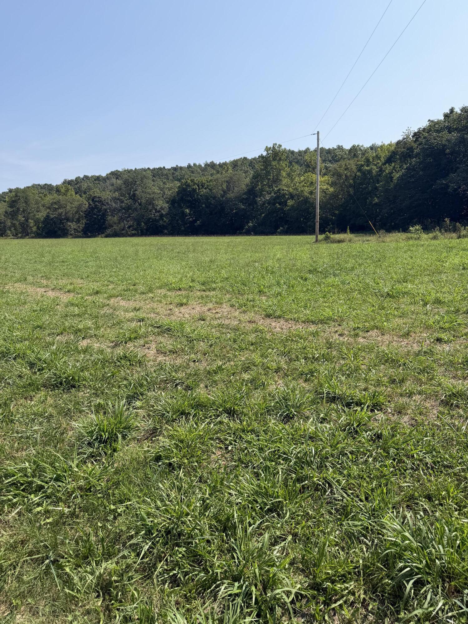 1189 County Road 428 Property Photo 10