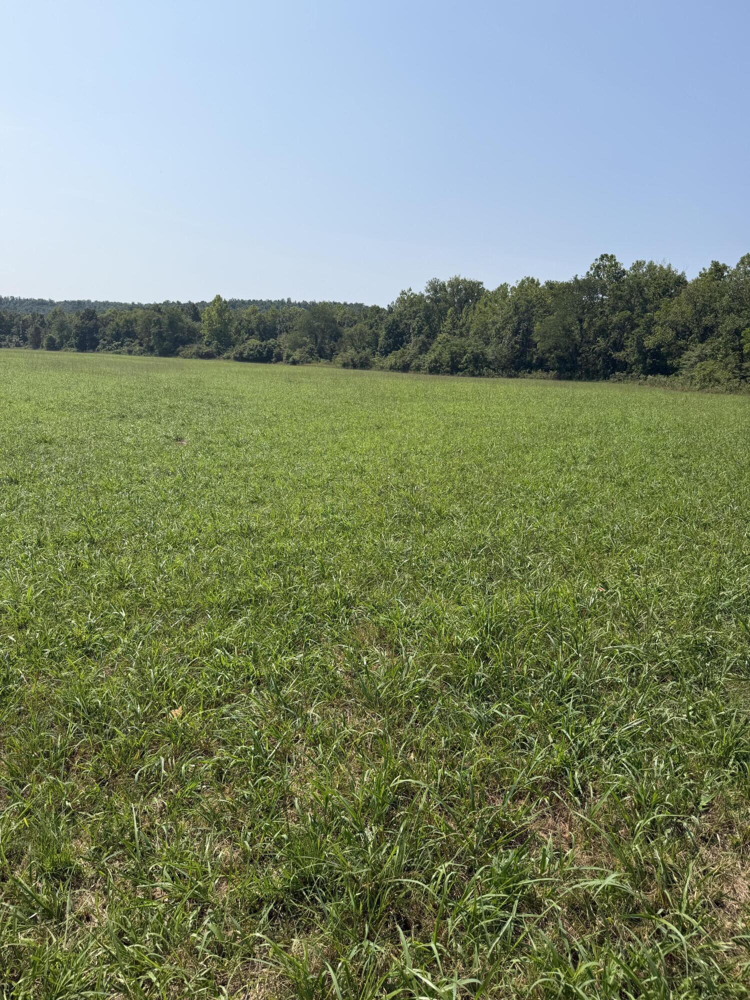 1189 County Road 428 Property Photo 13
