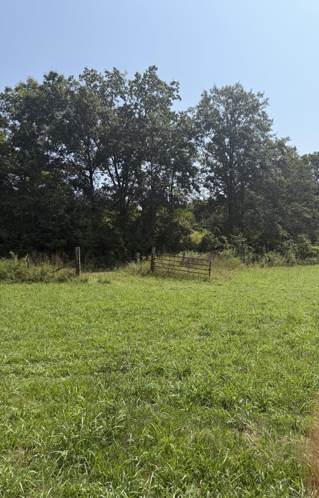 1189 County Road 428 Property Photo 15