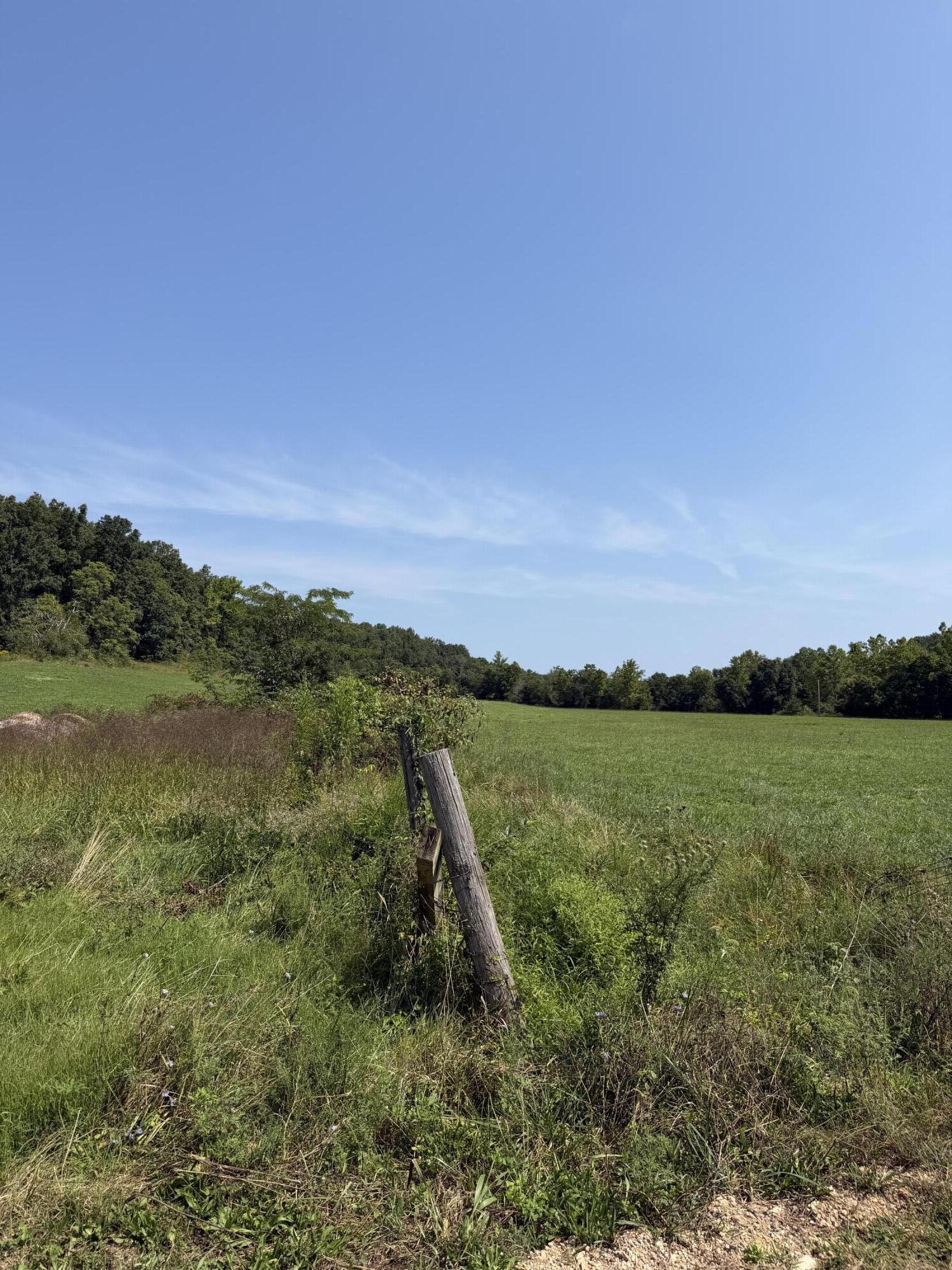 1189 County Road 428 Property Photo 16