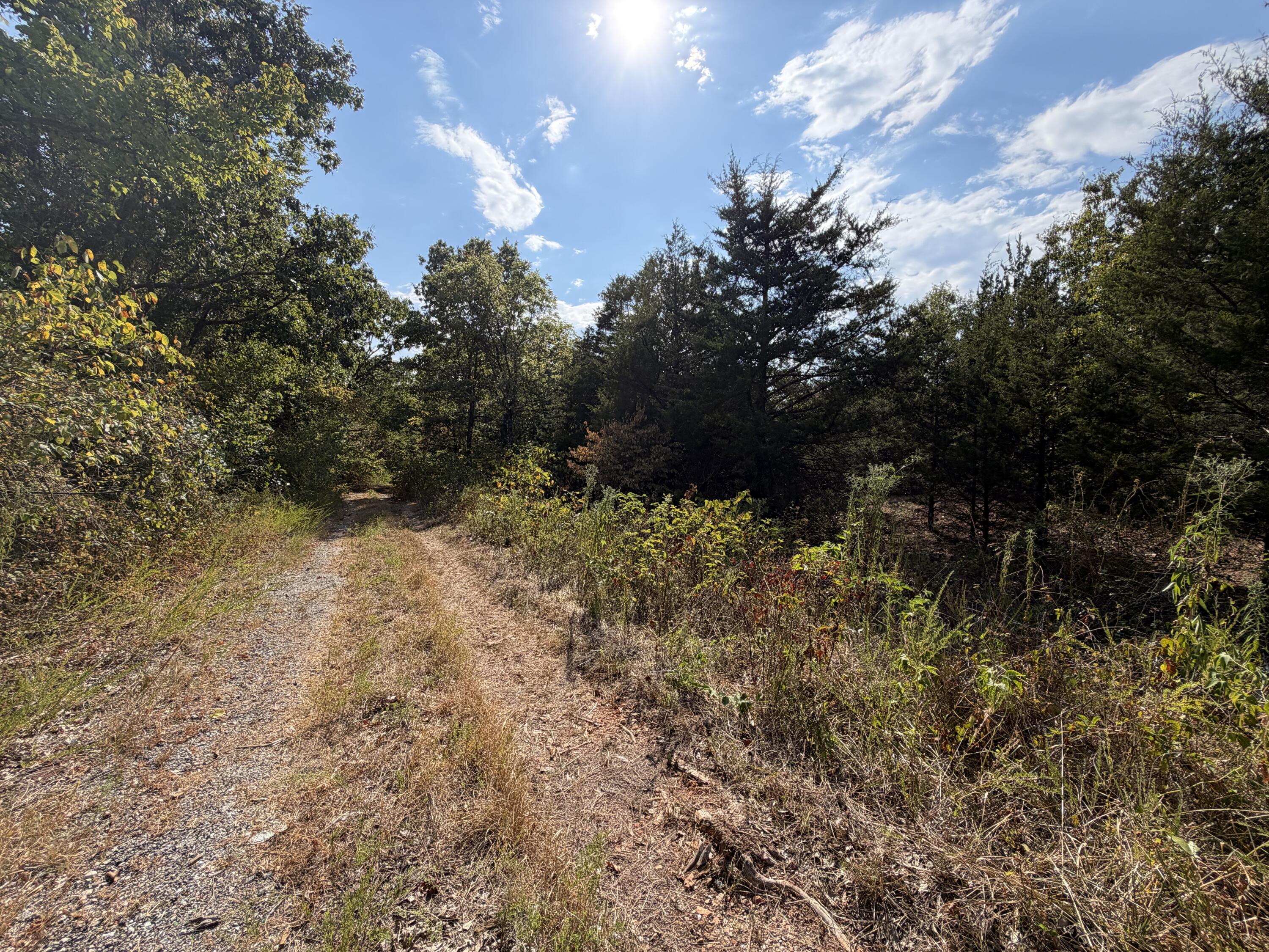 000 Doniphan Drive Property Photo 3