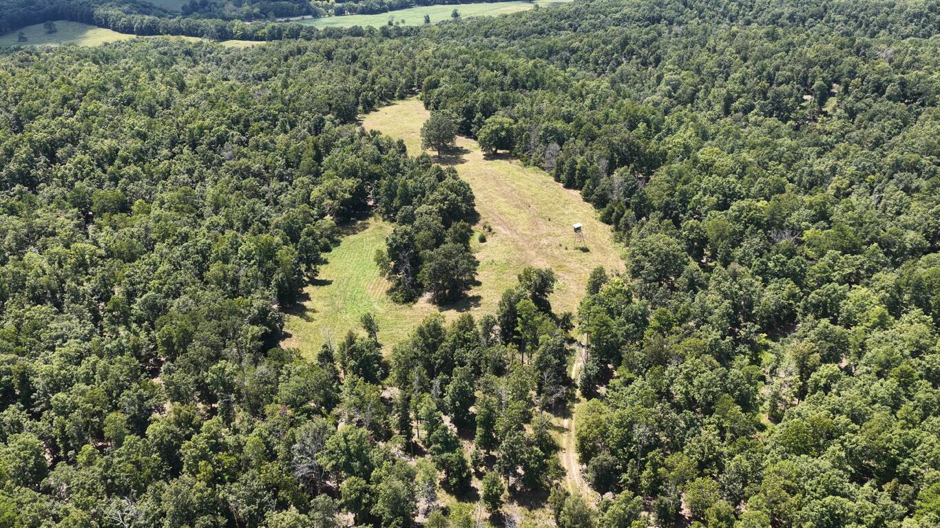 0000 County Road 422-17 Property Photo 1