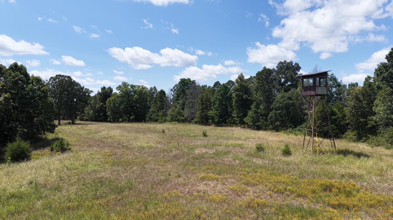 0000 County Road 422-17 Property Photo 3