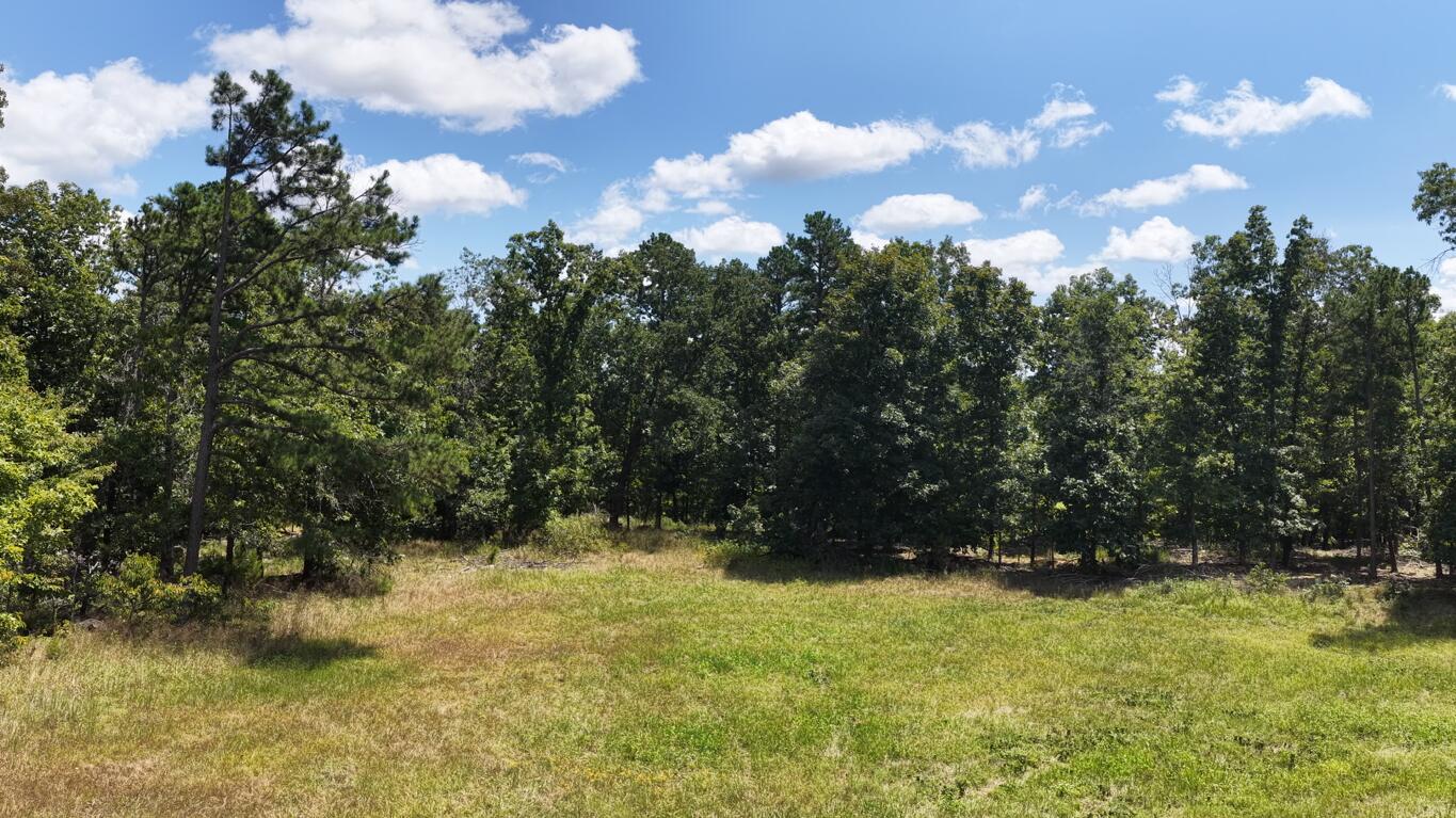 0000 County Road 422-17 Property Photo 5