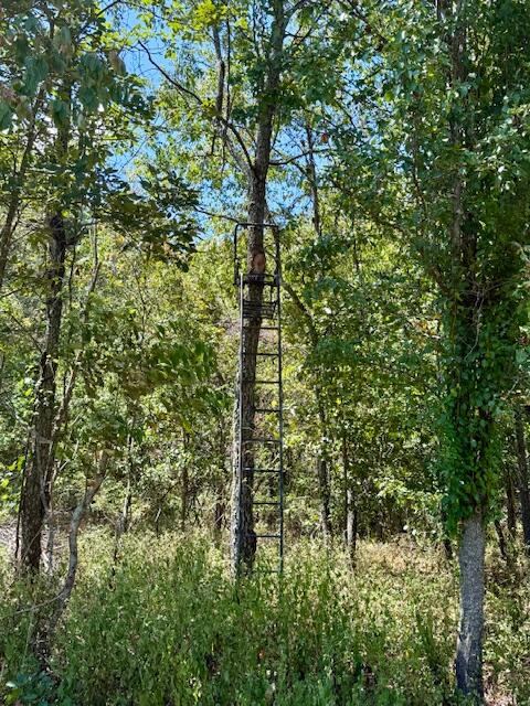 22285 Midvale Road Property Photo 69