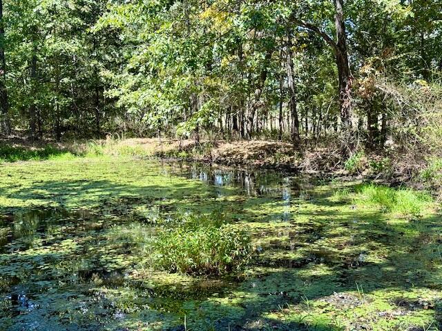 22285 Midvale Road Property Photo 71