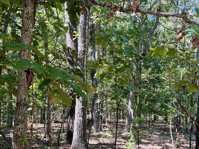 22285 Midvale Road Property Photo 76