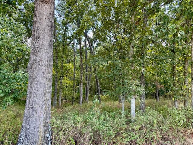 22285 Midvale Road Property Photo 77