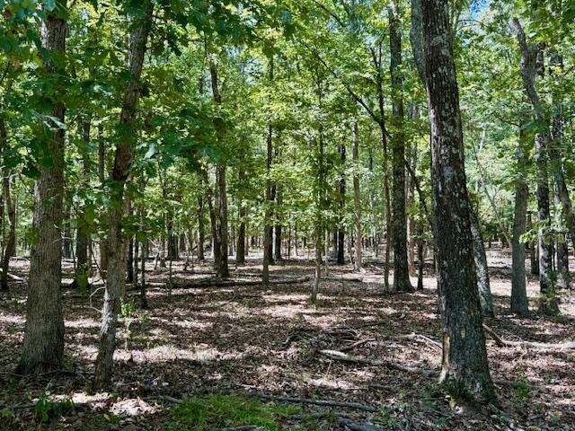 22285 Midvale Road Property Photo 78