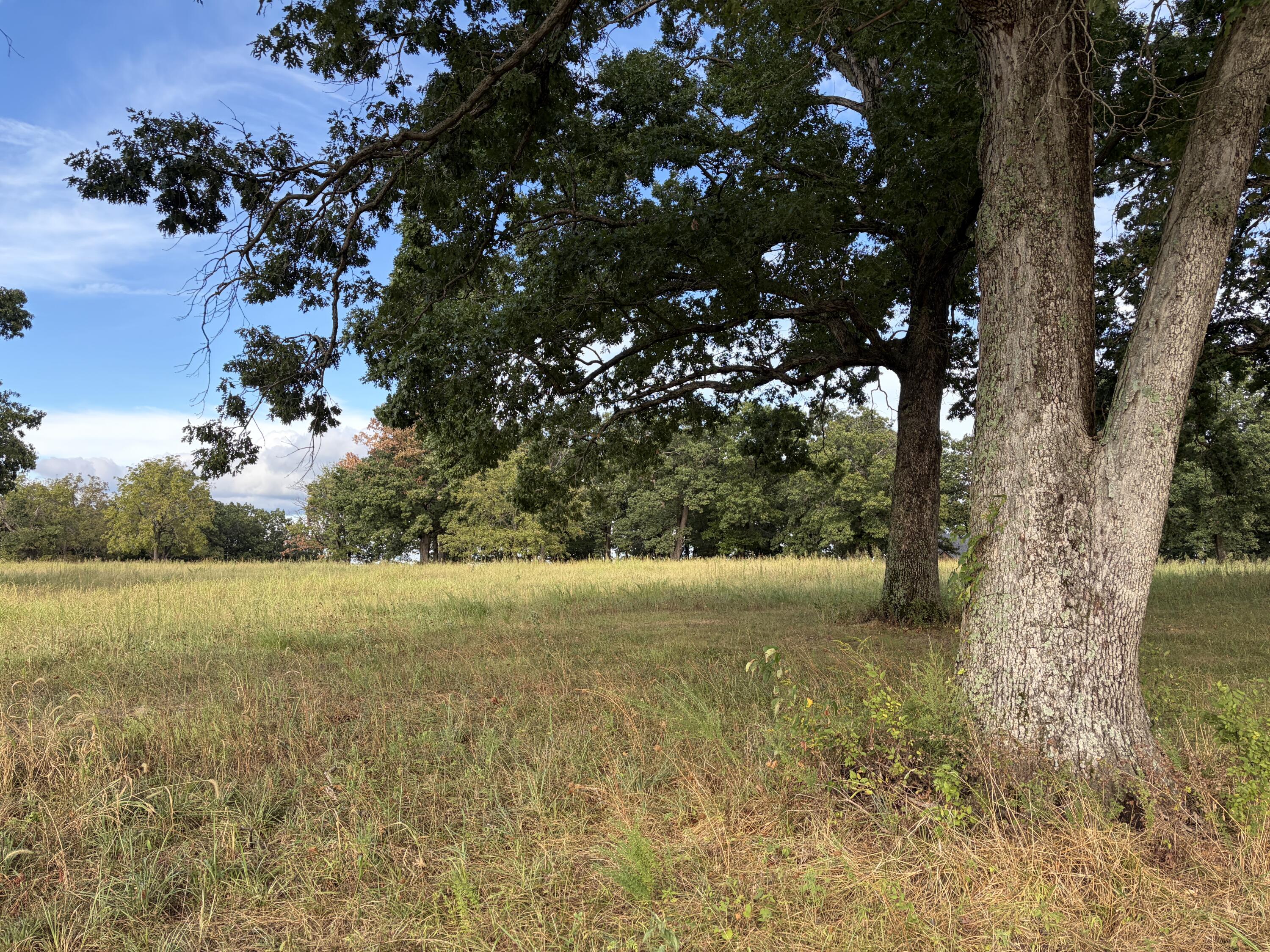 006 South 1481 Road Property Photo 6