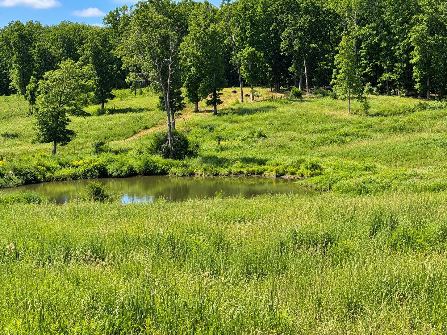 1420 State Route 14 Property Photo 25