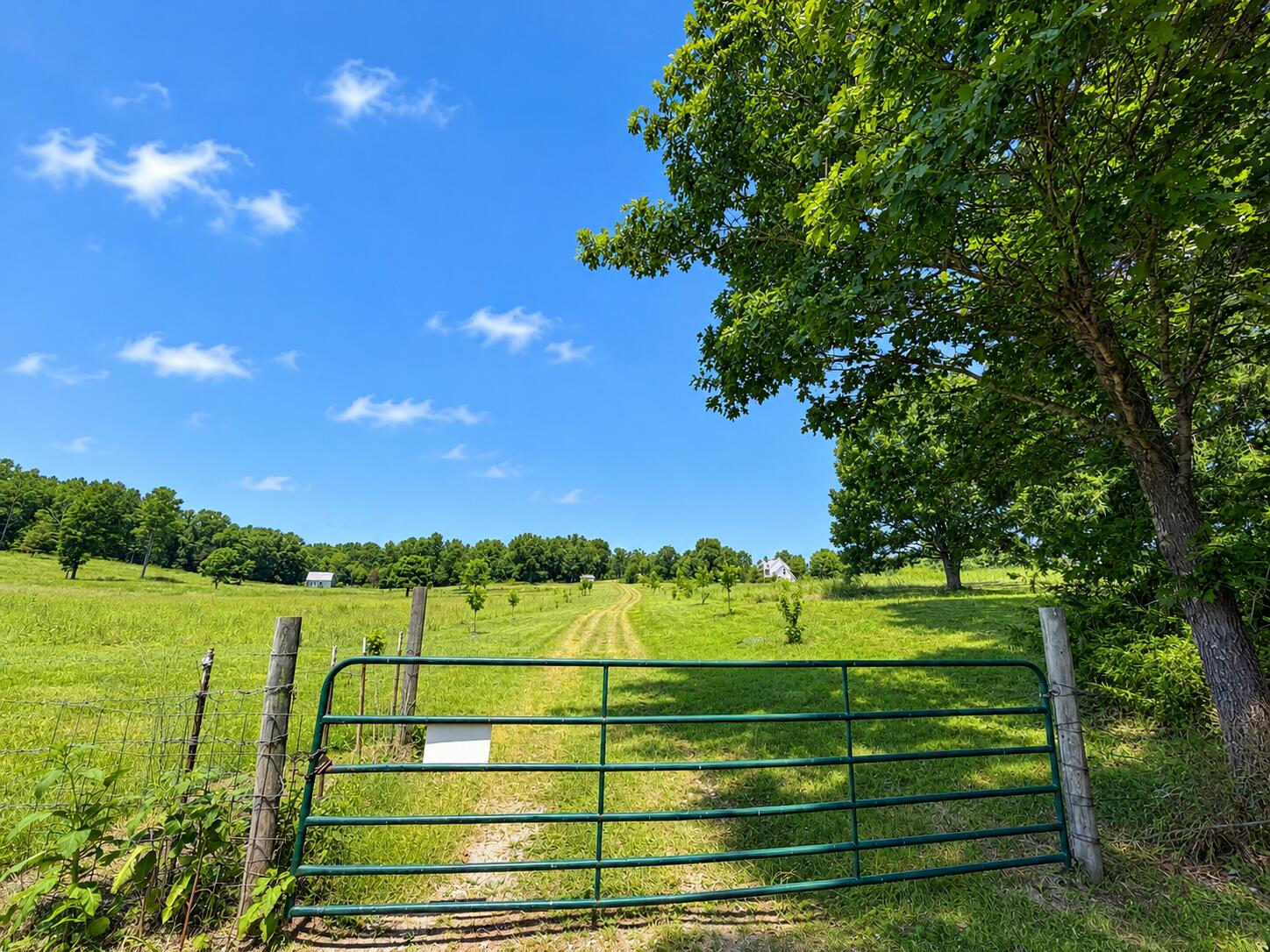 1420 State Route 14 Property Photo 27
