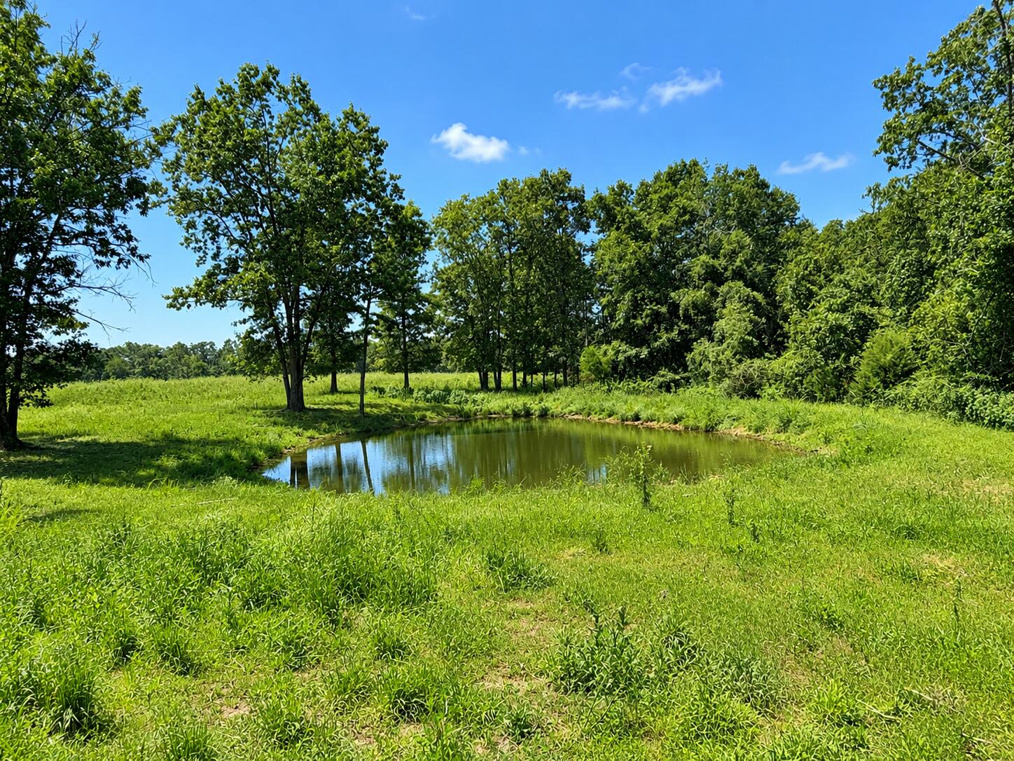 1420 State Route 14 Property Photo 29