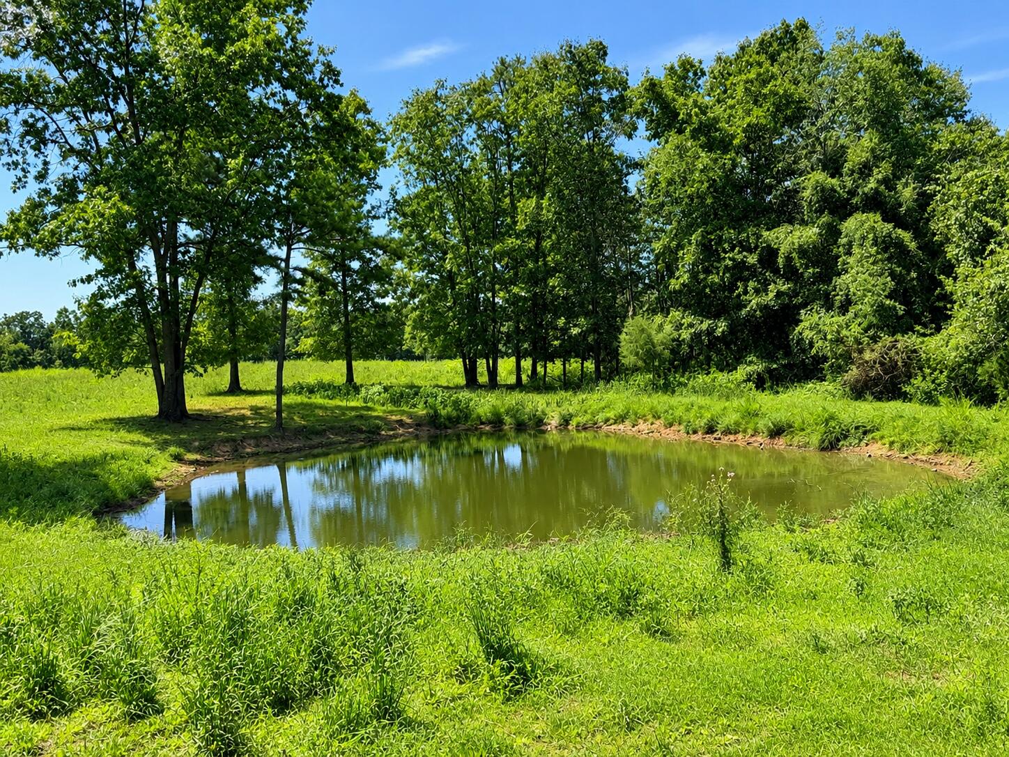 1420 State Route 14 Property Photo 30
