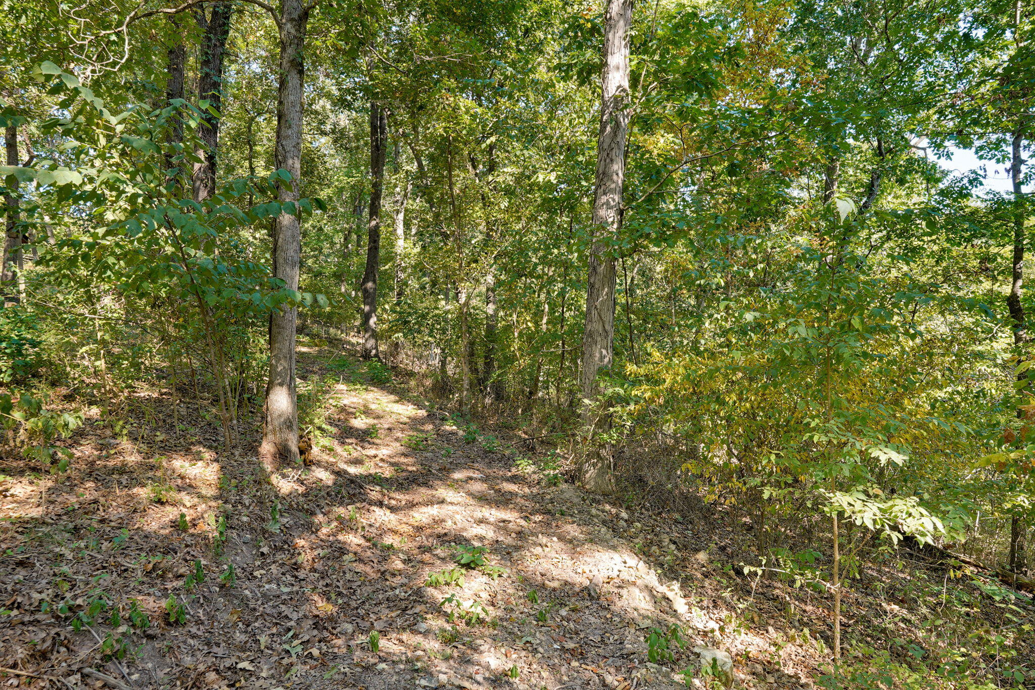 1627 West Riverbluff Lane Property Photo 34