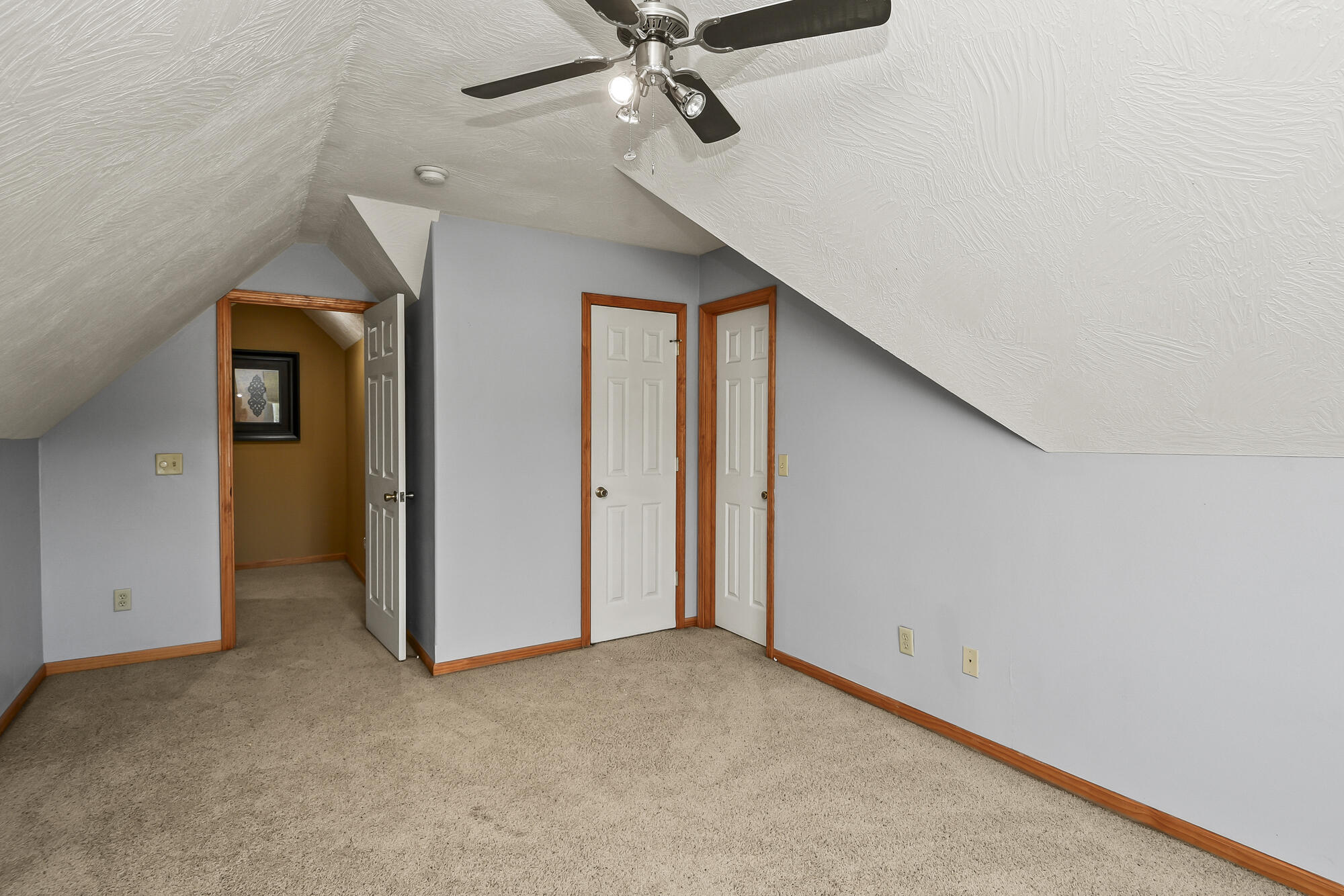 524 Quail Run Street Property Photo 52